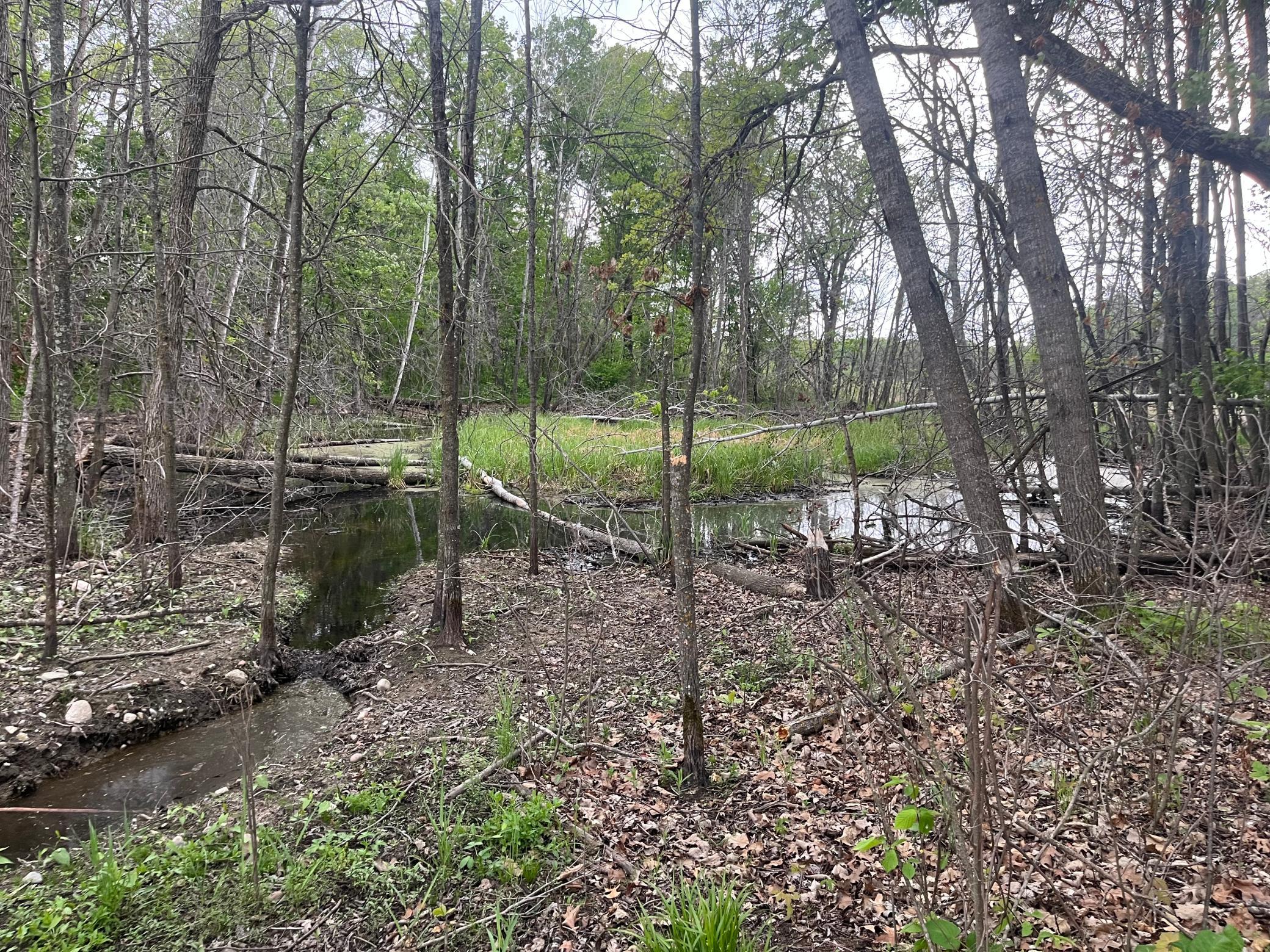 TBD Crust Road, Brainerd MN 56401 - Photo 10 of 13