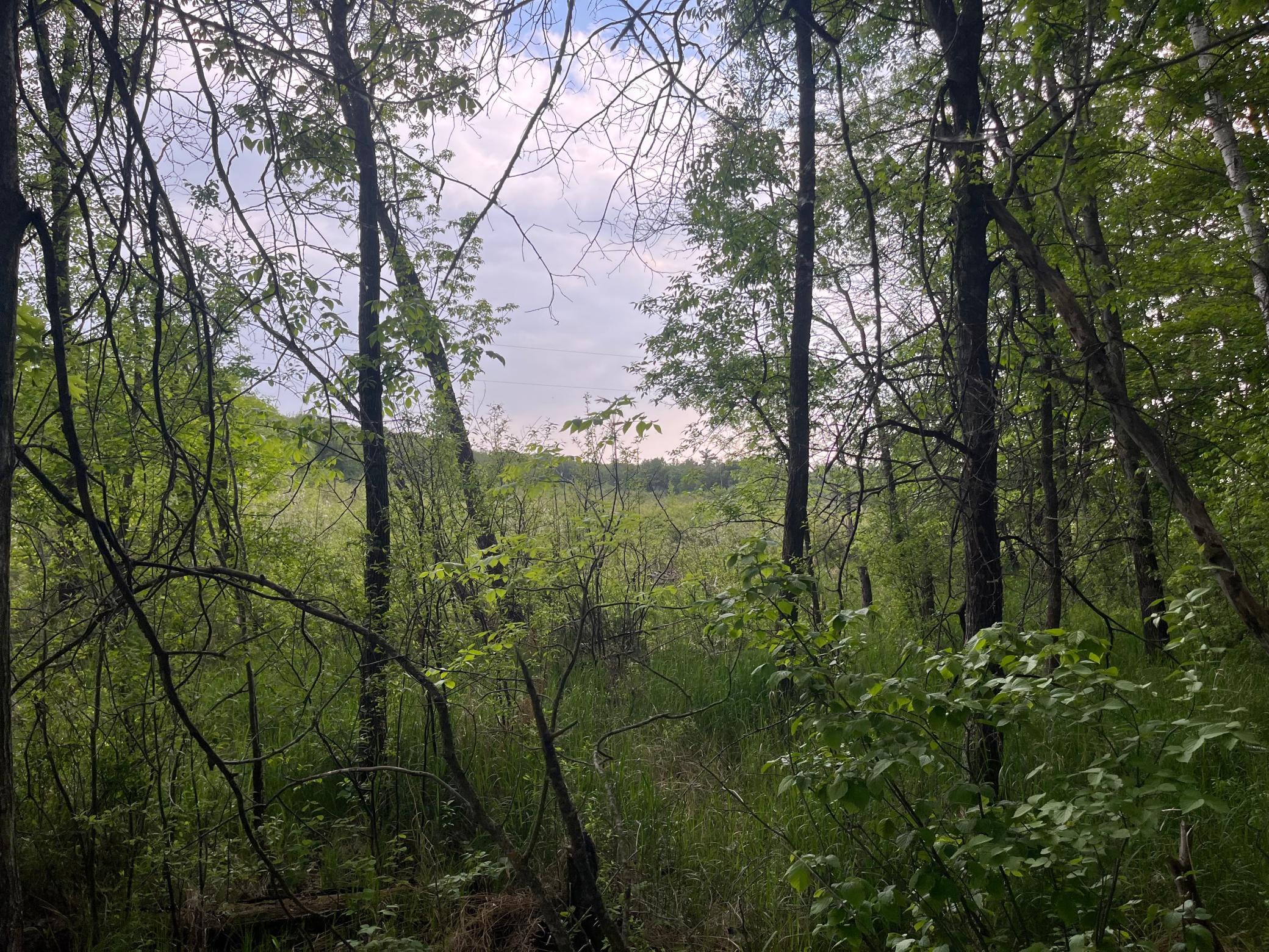 2026 single family home for sale at TBD Crust Road in Brainerd, MN — 3 bed, 2 bath (photo 35 of 61)