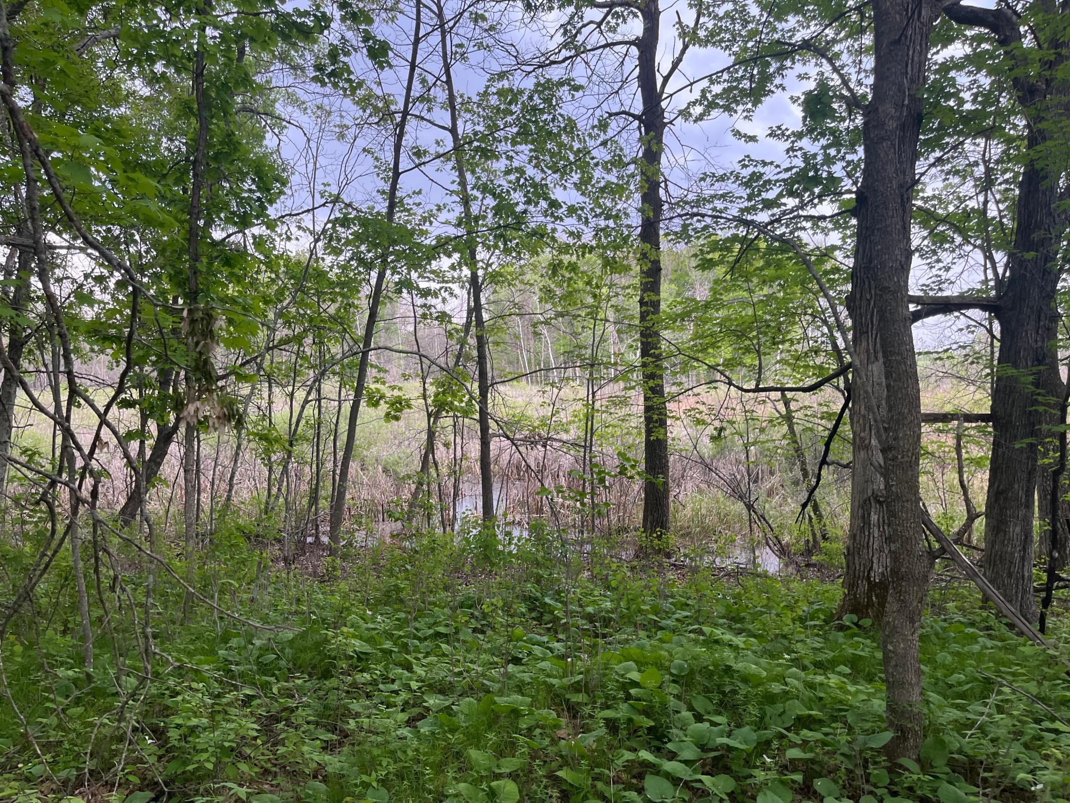 2026 single family home for sale at TBD Crust Road in Brainerd, MN — 3 bed, 2 bath (photo 41 of 61)
