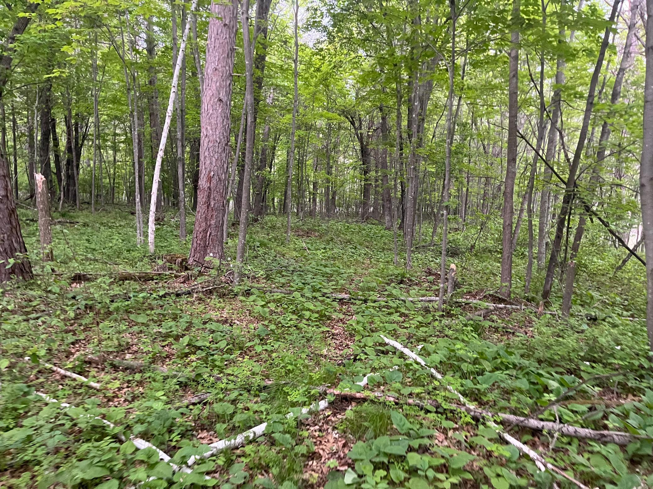 2026 single family home for sale at TBD Crust Road in Brainerd, MN — 3 bed, 2 bath (photo 42 of 61)