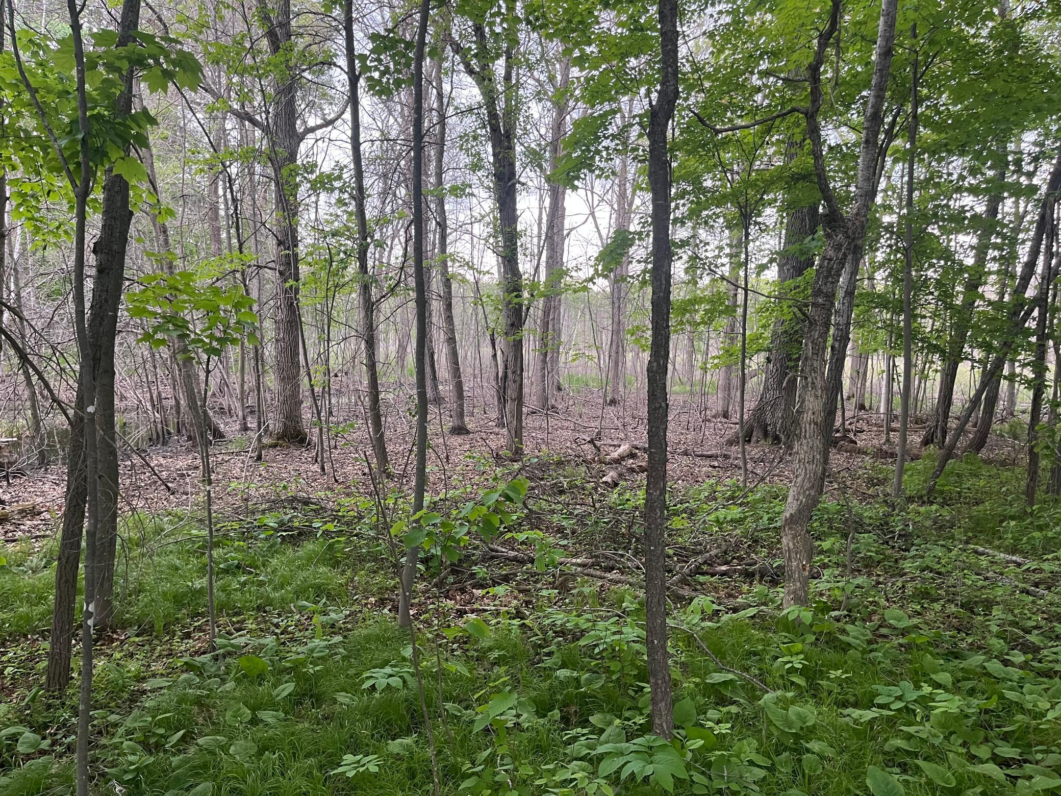 2026 single family home for sale at TBD Crust Road in Brainerd, MN — 3 bed, 2 bath (photo 49 of 61)