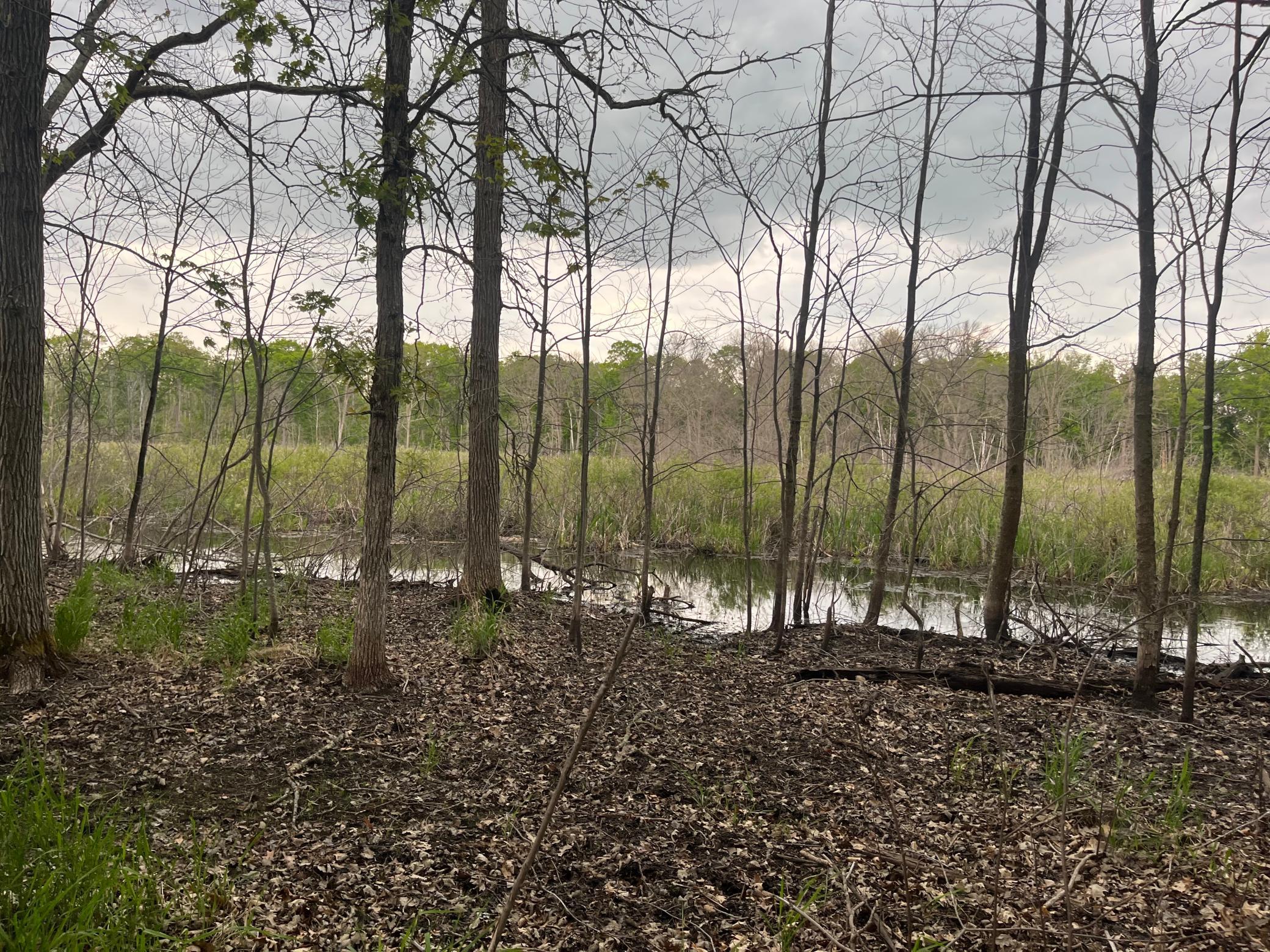 2026 single family home for sale at TBD Crust Road in Brainerd, MN — 3 bed, 2 bath (photo 51 of 61)
