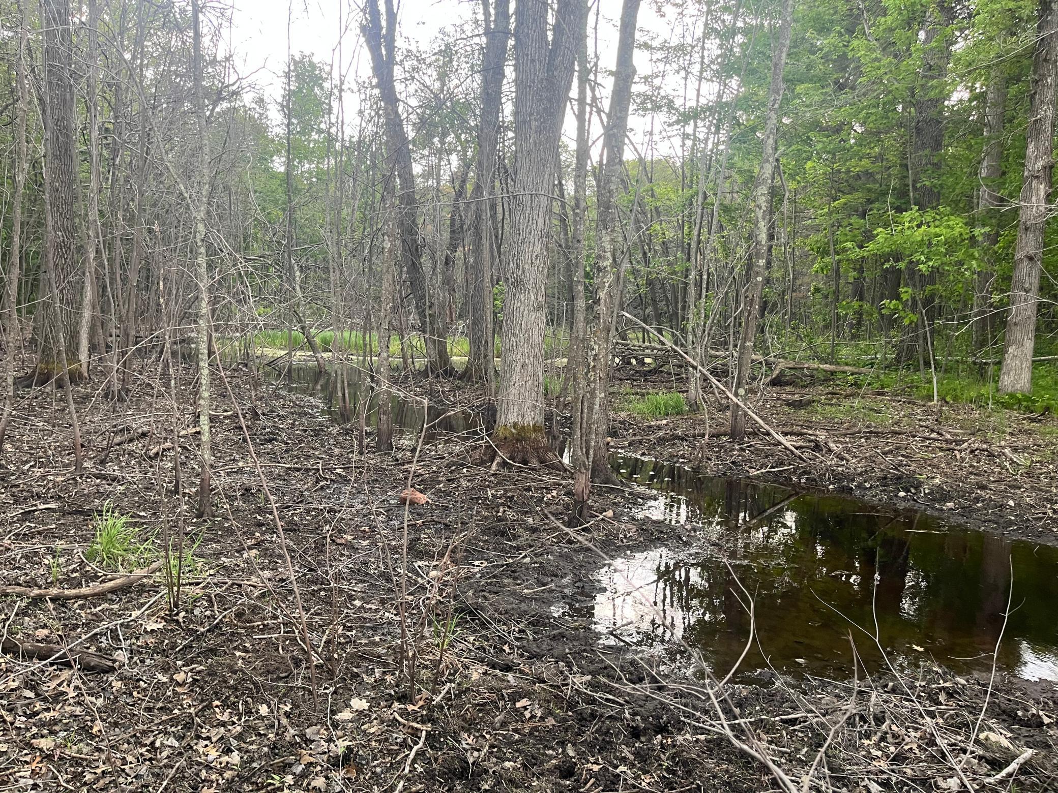 2026 single family home for sale at TBD Crust Road in Brainerd, MN — 3 bed, 2 bath (photo 55 of 61)