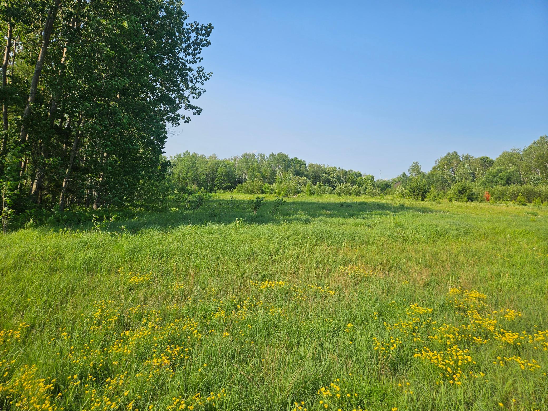 21048 County Road 36, Crosby MN 56441 - Photo 3 of 6