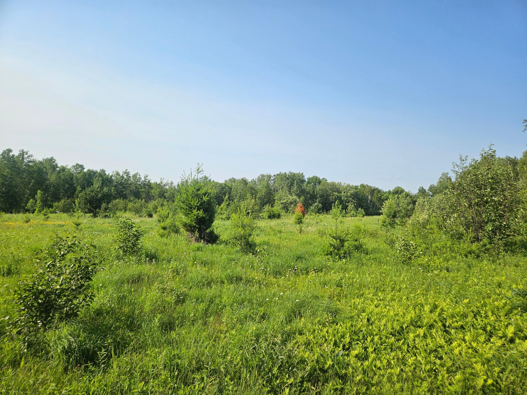 21048 County Road 36, Crosby MN 56441 - Photo 4 of 6