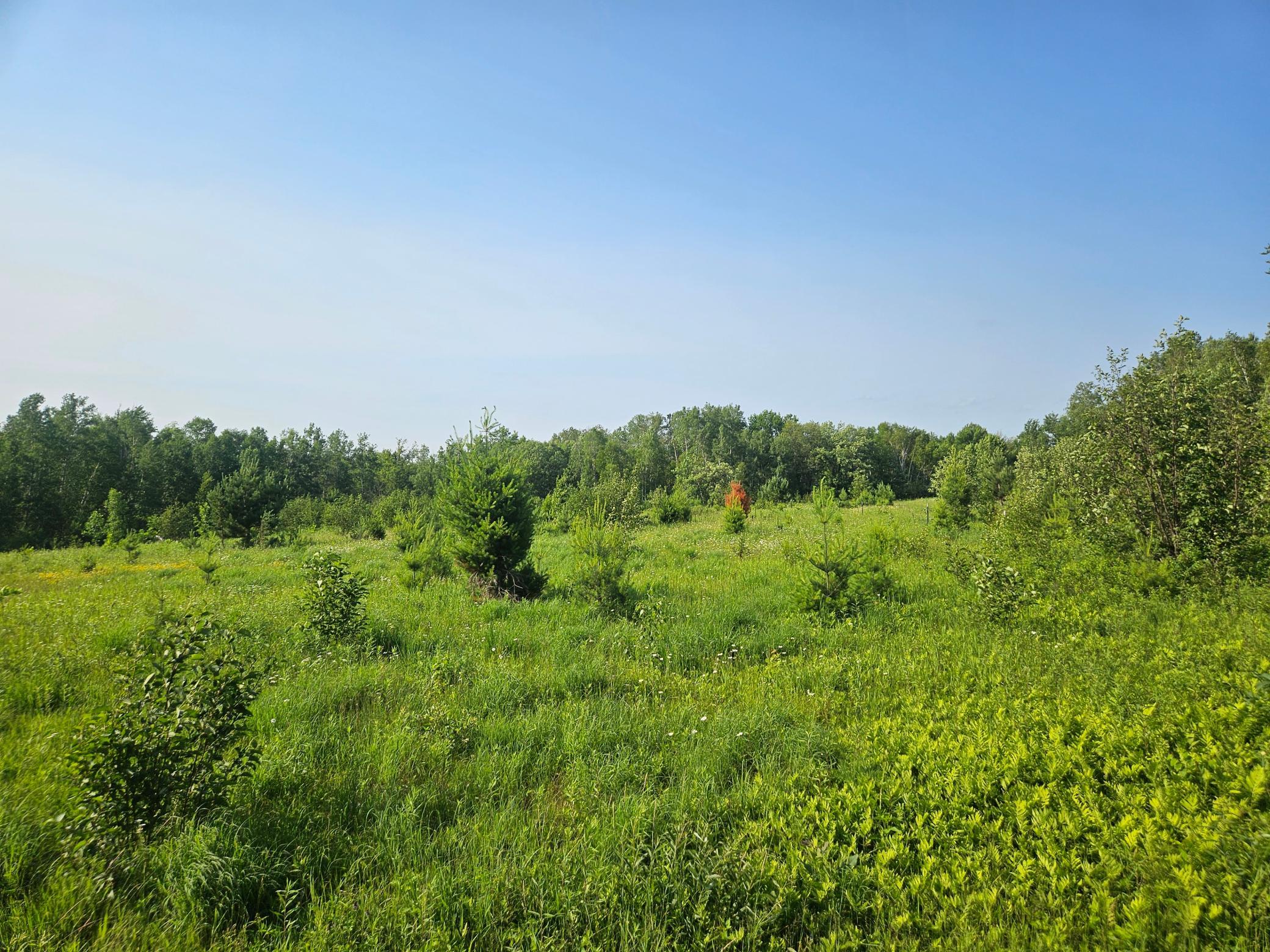 21048 County Road 36, Crosby MN 56441 - Photo 6 of 6