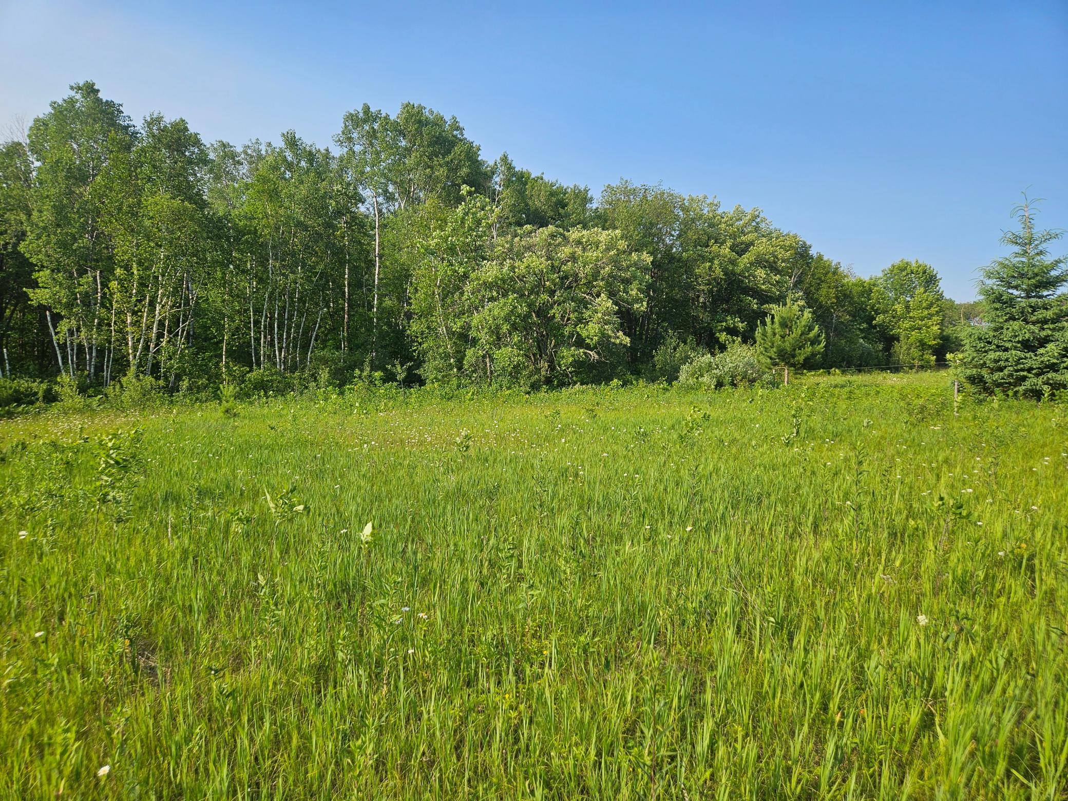 TBD County Road 36, Crosby MN 56441 - Photo 2 of 10