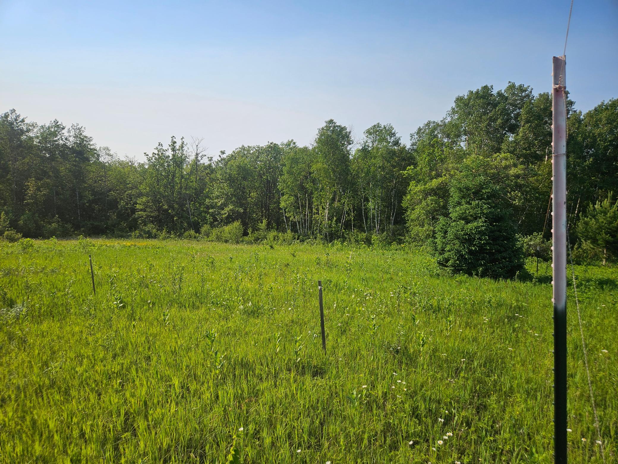 TBD County Road 36, Crosby MN 56441 - Photo 4 of 10