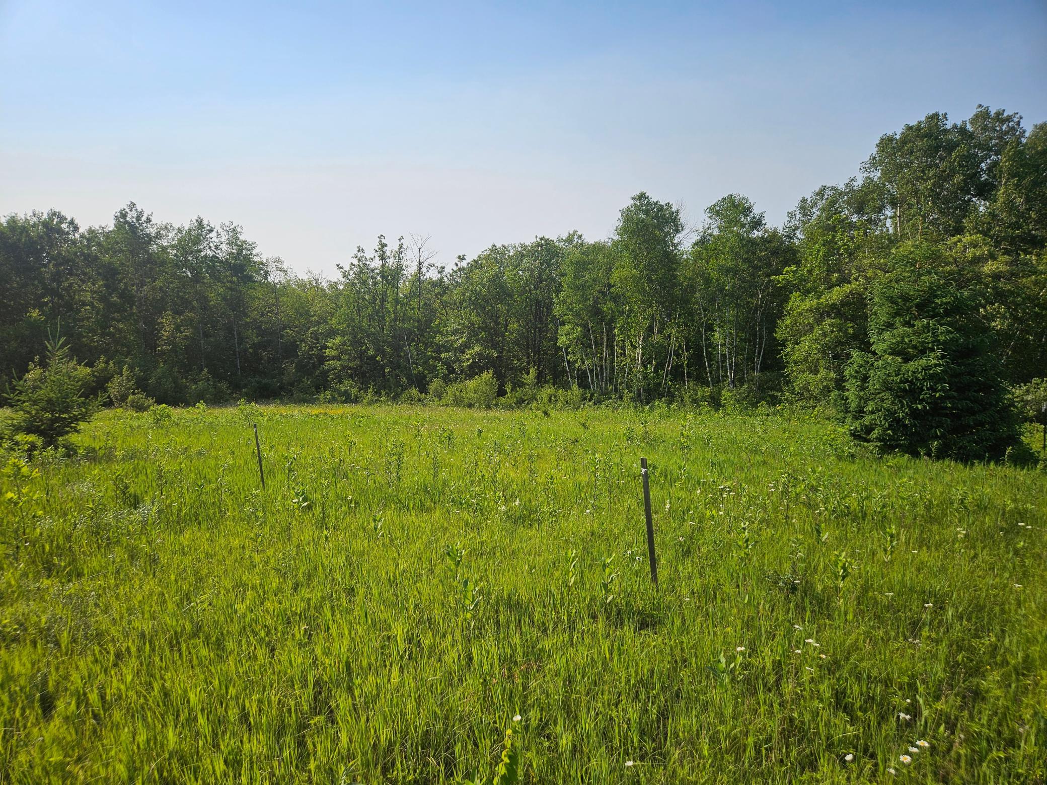 TBD County Road 36, Crosby MN 56441 - Photo 5 of 10