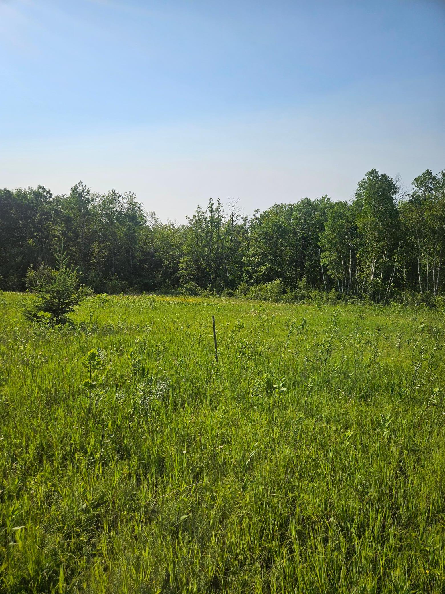 TBD County Road 36, Crosby MN 56441 - Photo 7 of 10