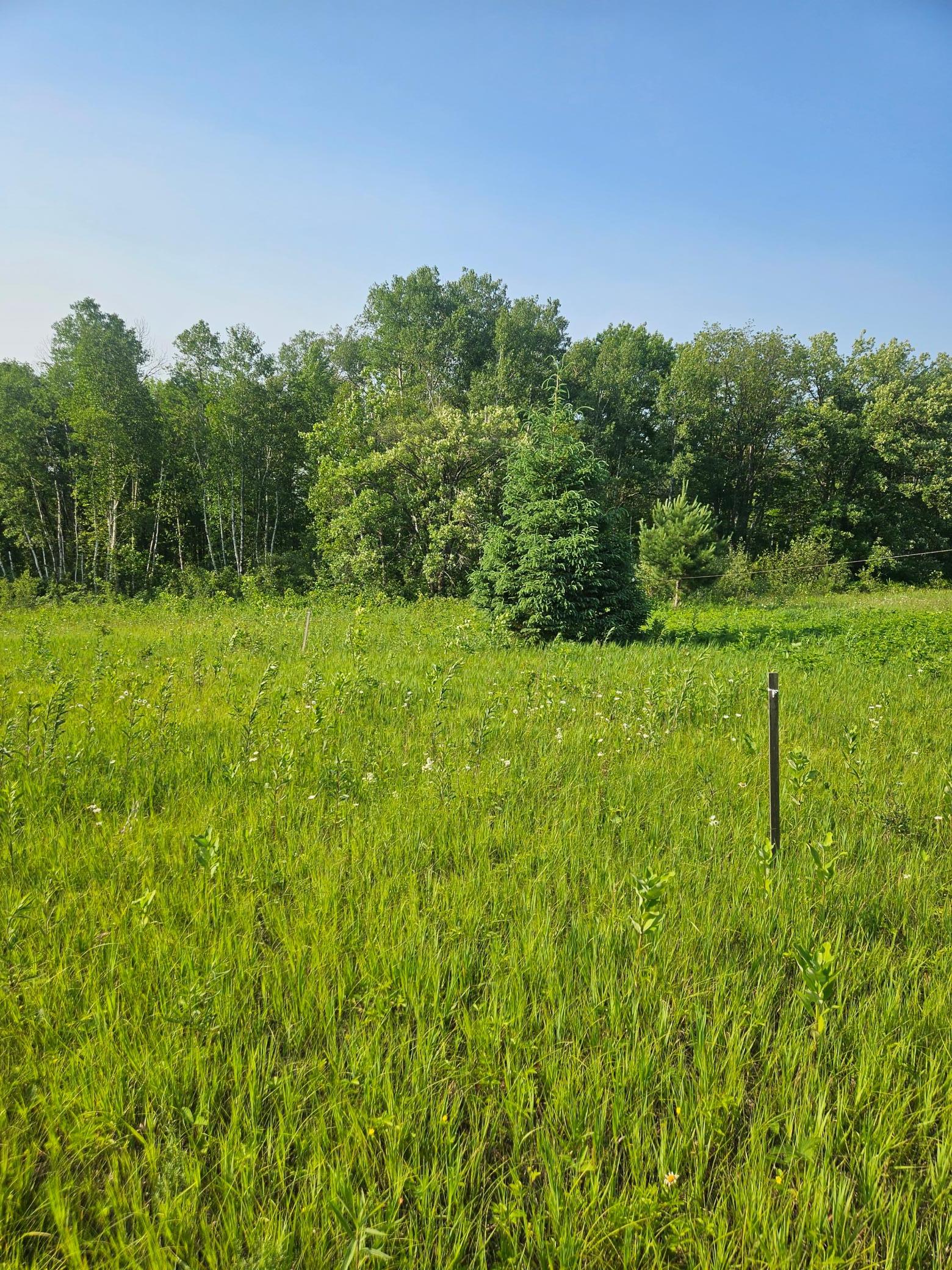 TBD County Road 36, Crosby MN 56441 - Photo 8 of 10