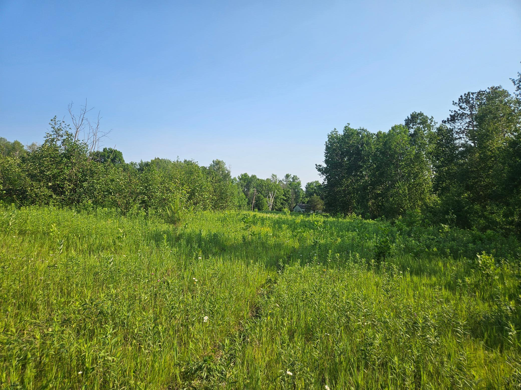 TBD County Road 36, Crosby MN 56441 - Photo 9 of 10