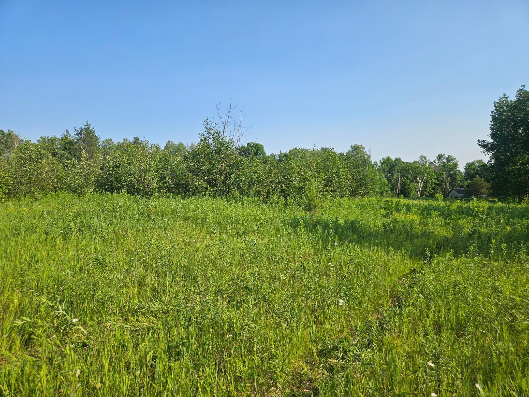 TBD County Road 36, Crosby MN 56441 - Photo 10 of 10