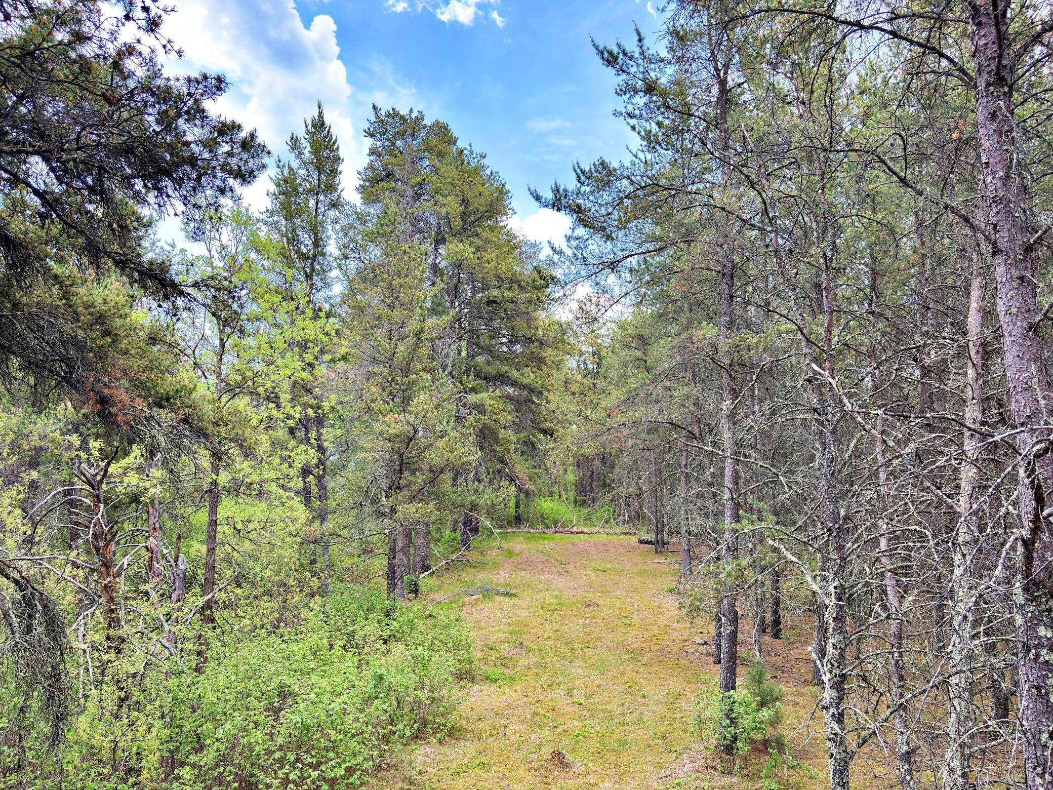 27622 County 119, Nevis MN 56467 - Photo 49 of 52