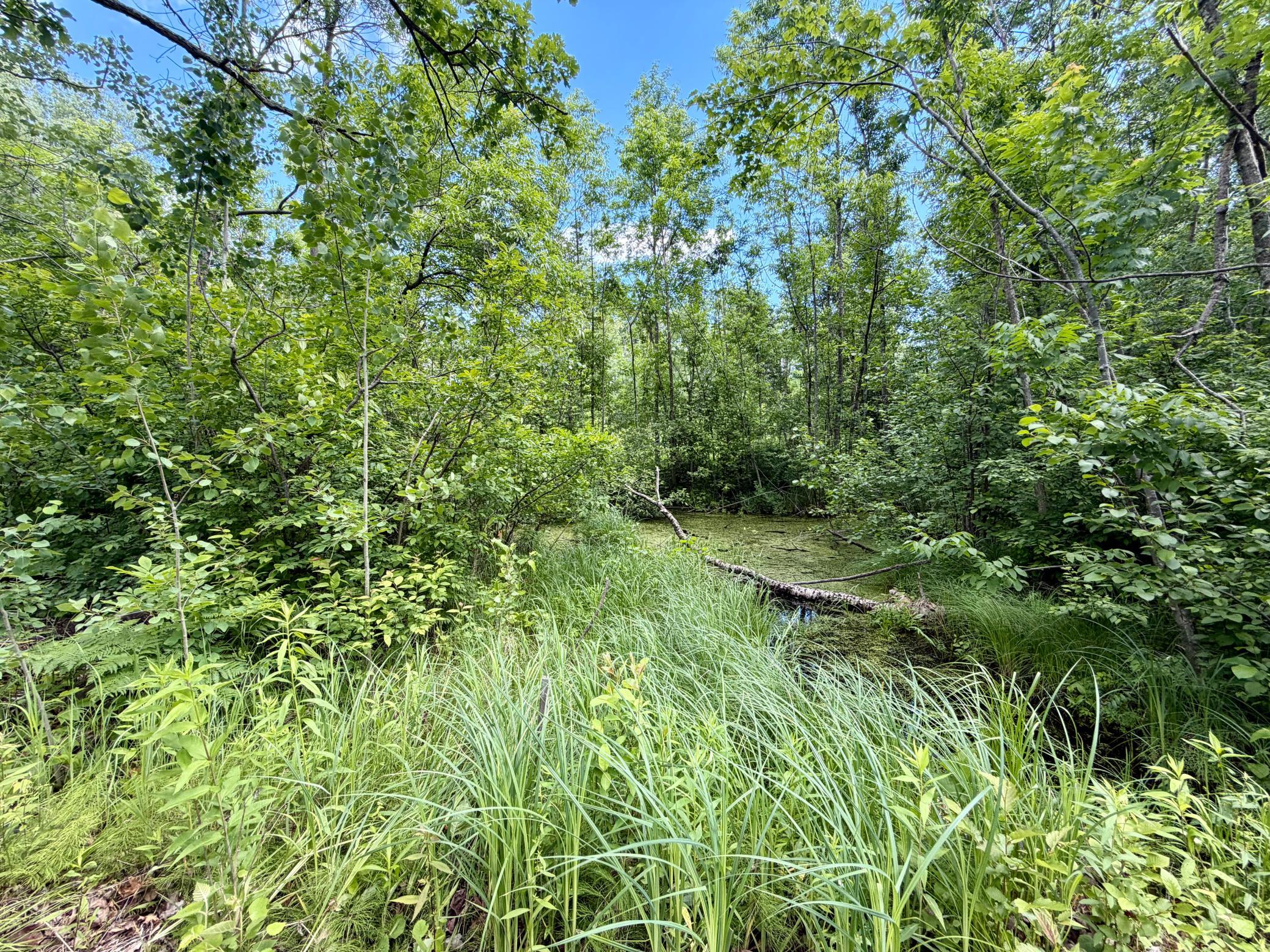 land for sale at 27639 Gateway Road in Garrison, MN (photo 8 of 9)