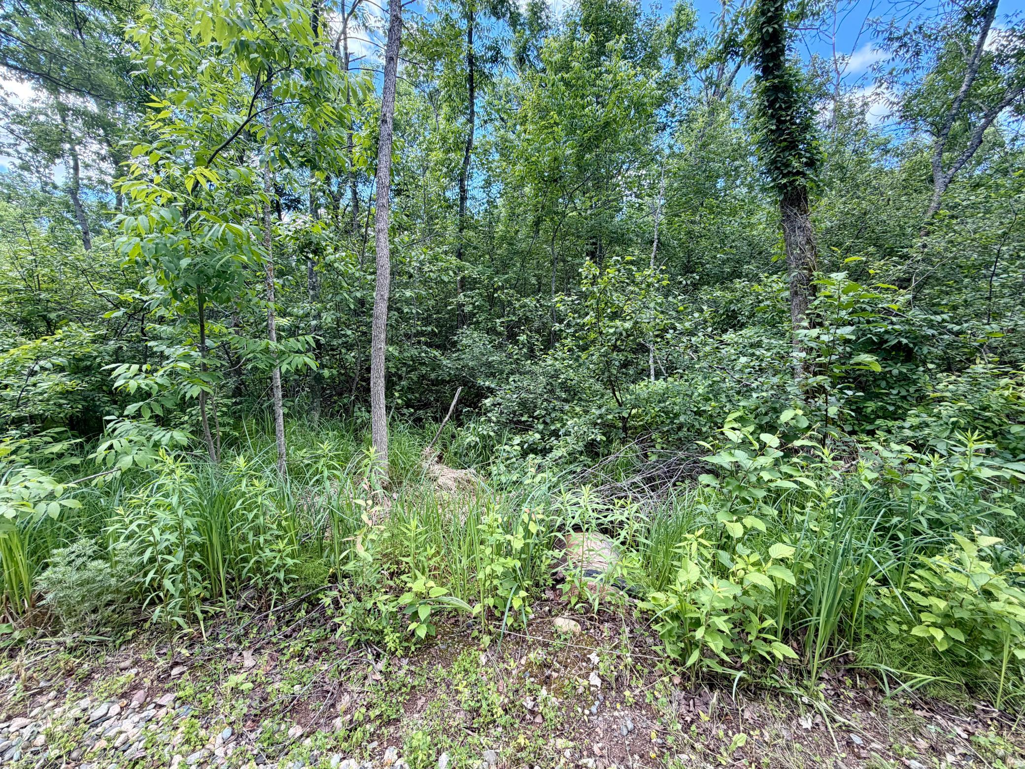 land for sale at 27639 Gateway Road in Garrison, MN (photo 9 of 9)