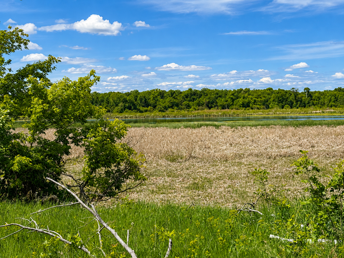 TBD Co Hwy 1, Battle Lake MN 56515 - Photo 4 of 6