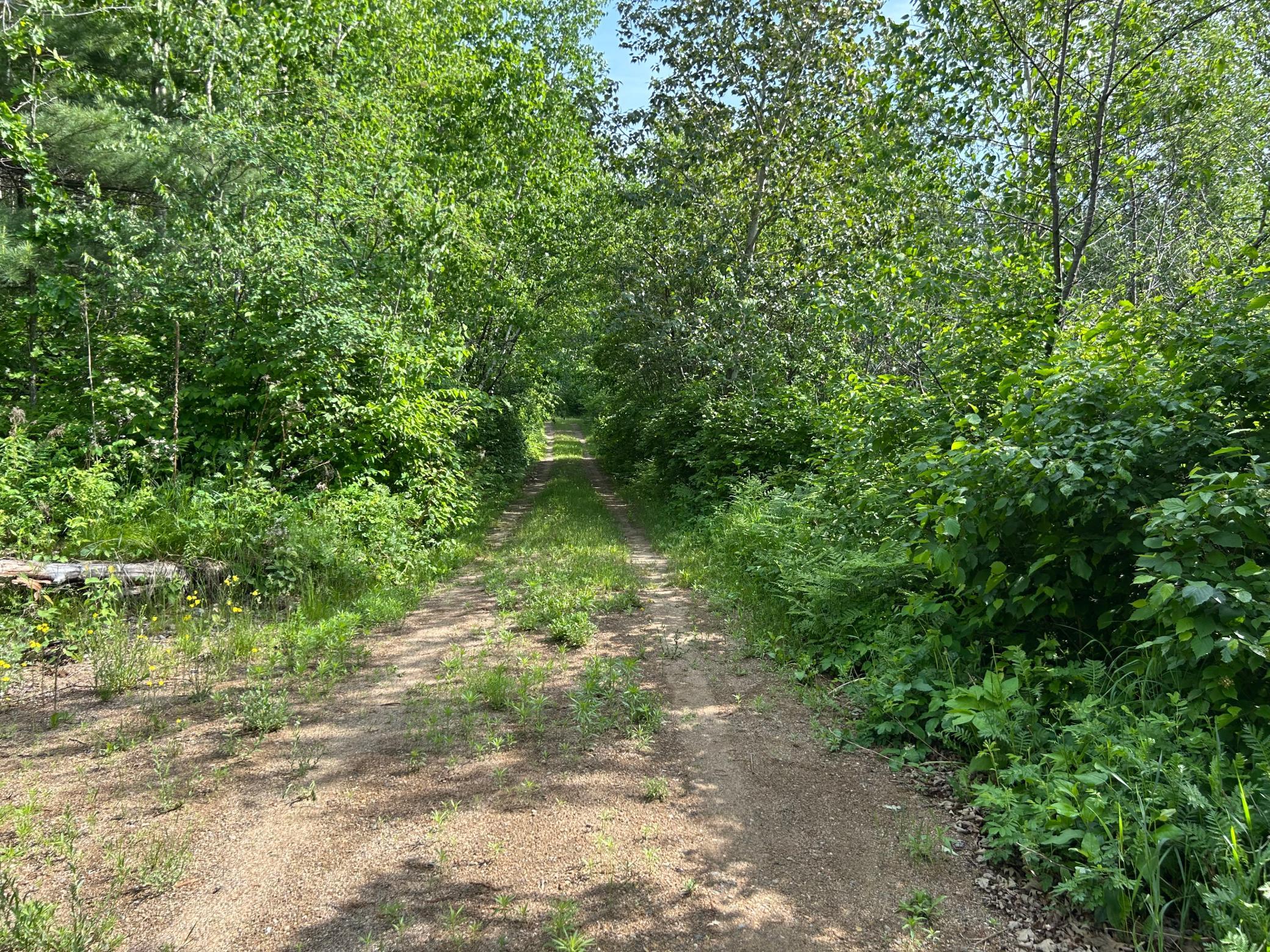 13894 Grouse Trail, Bagley MN 56621 - Photo 21 of 21