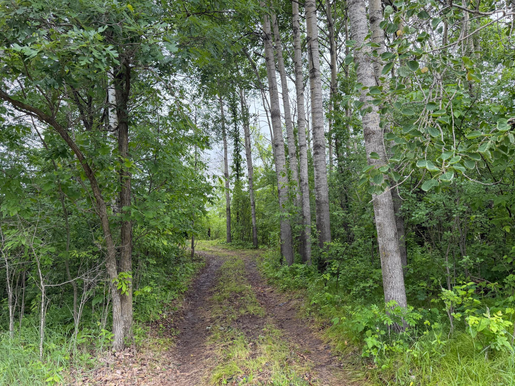 TBD 130th Street, Burtrum MN 56318 - Photo 12 of 62