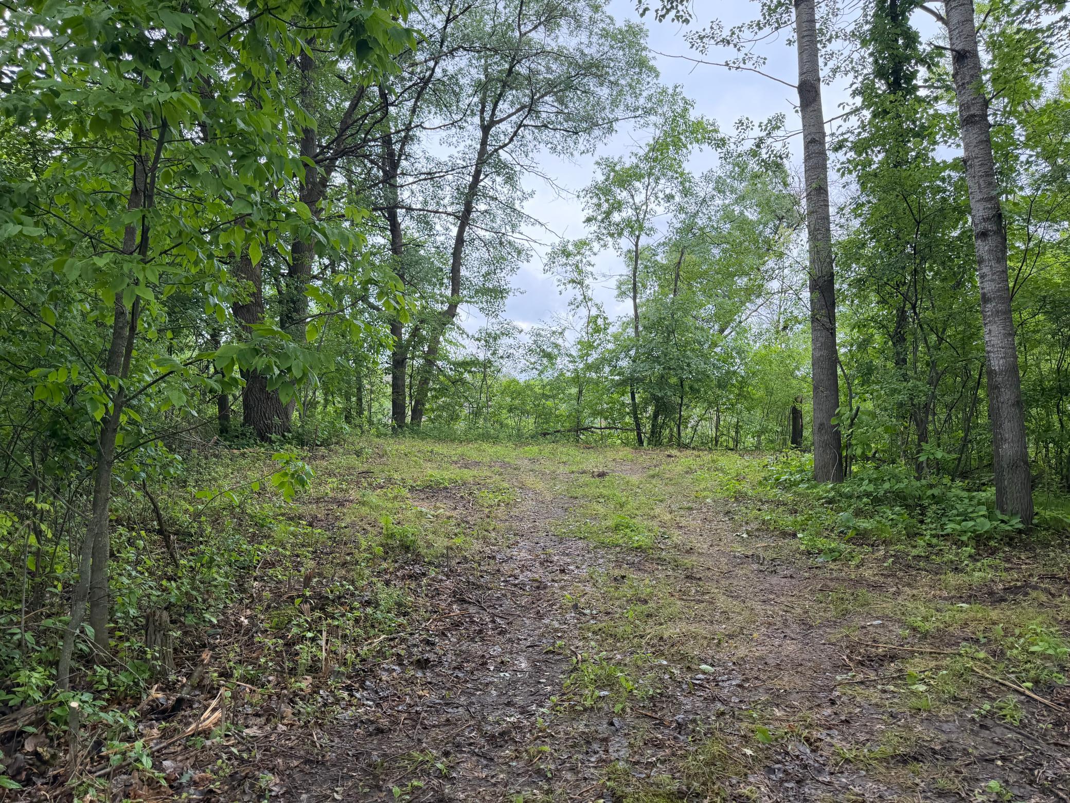 TBD 130th Street, Burtrum MN 56318 - Photo 13 of 62