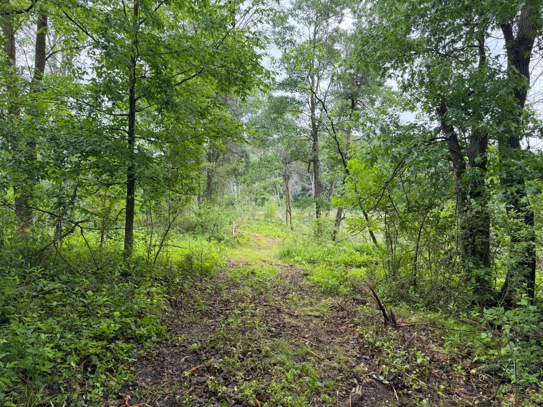 TBD 130th Street, Burtrum MN 56318 - Photo 14 of 62