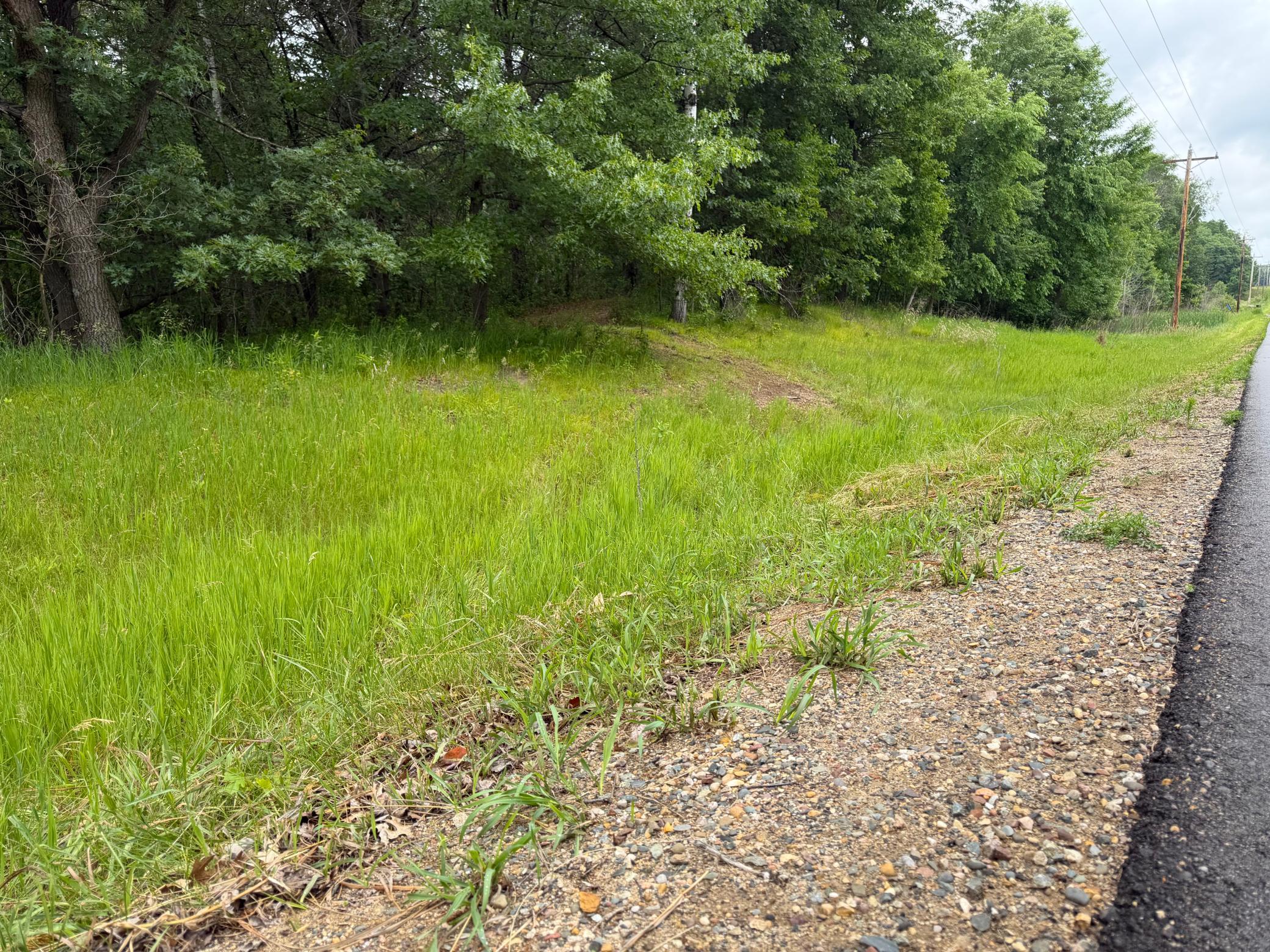 TBD 130th Street, Burtrum MN 56318 - Photo 19 of 62