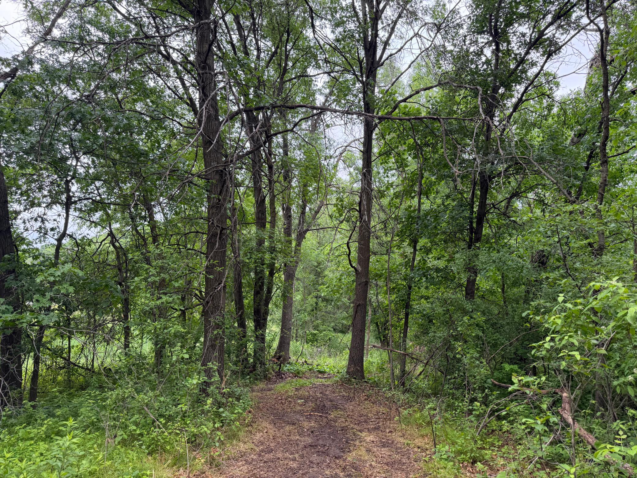 TBD 130th Street, Burtrum MN 56318 - Photo 21 of 62