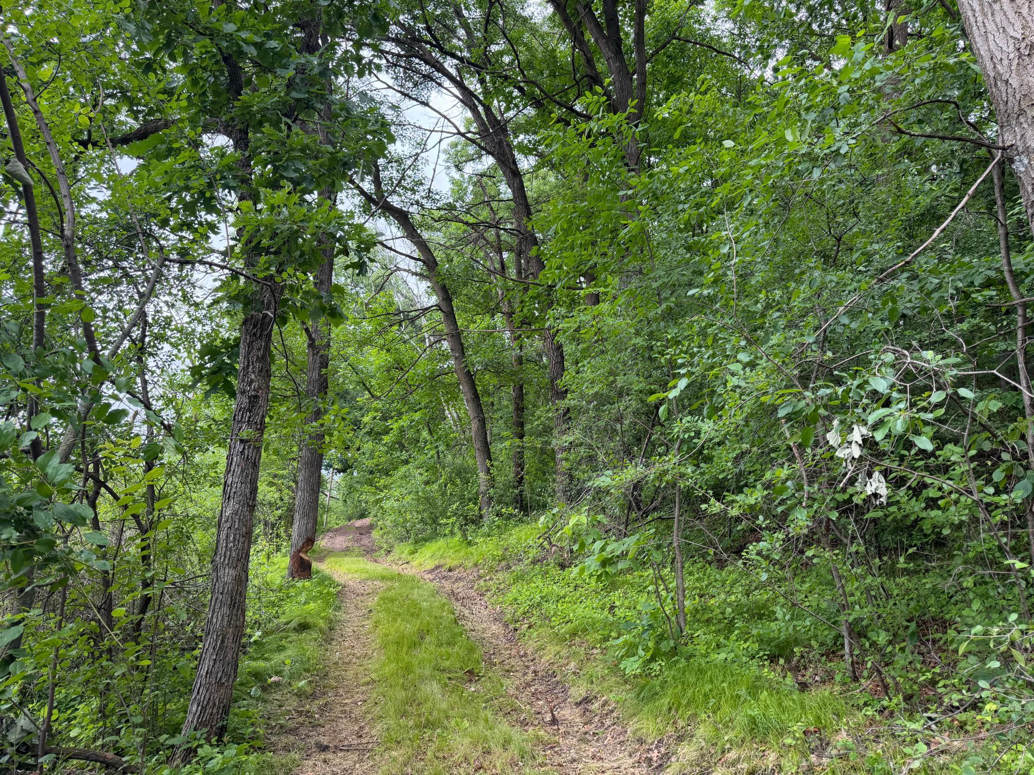 TBD 130th Street, Burtrum MN 56318 - Photo 27 of 62