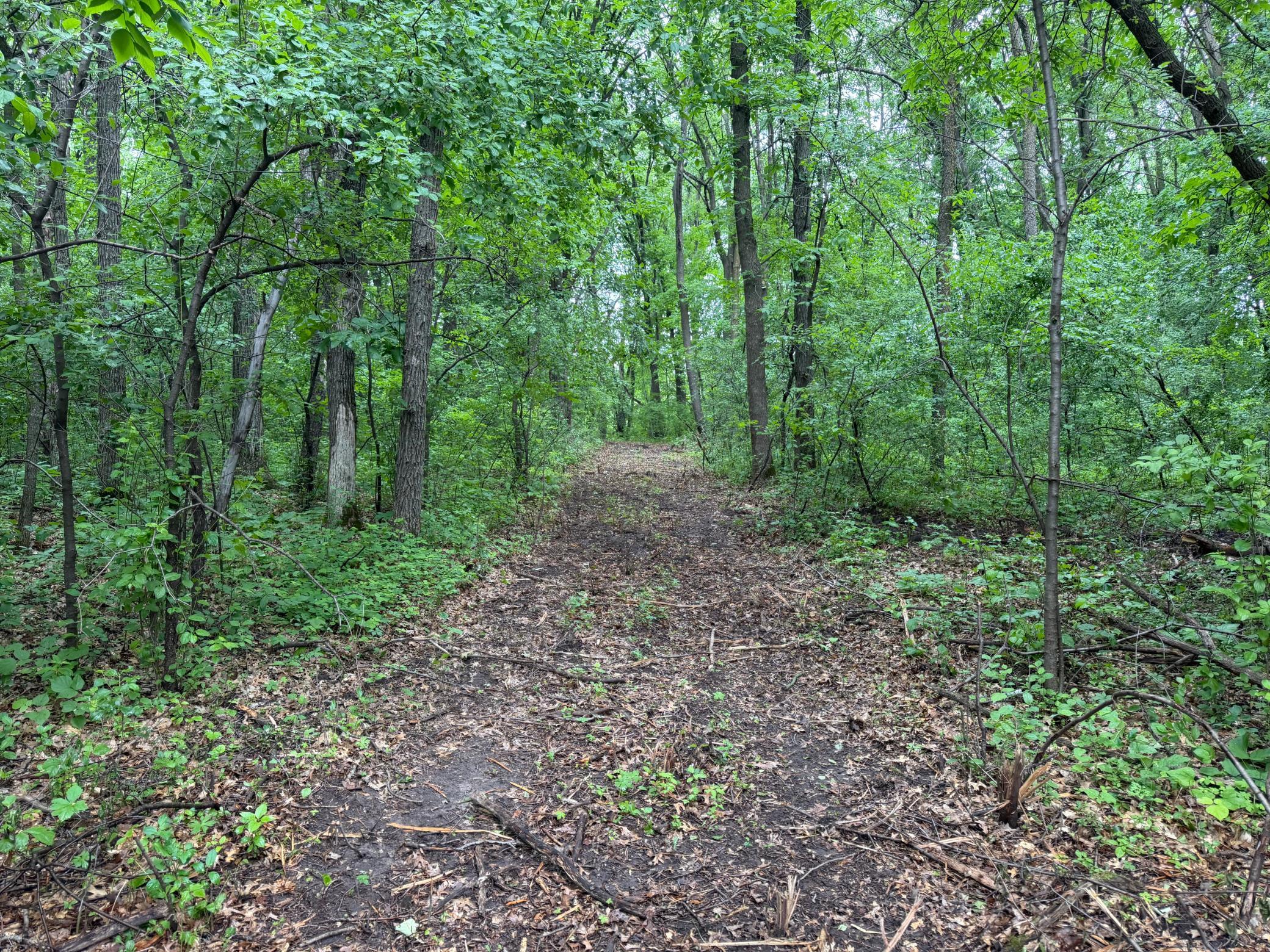 TBD 130th Street, Burtrum MN 56318 - Photo 32 of 62