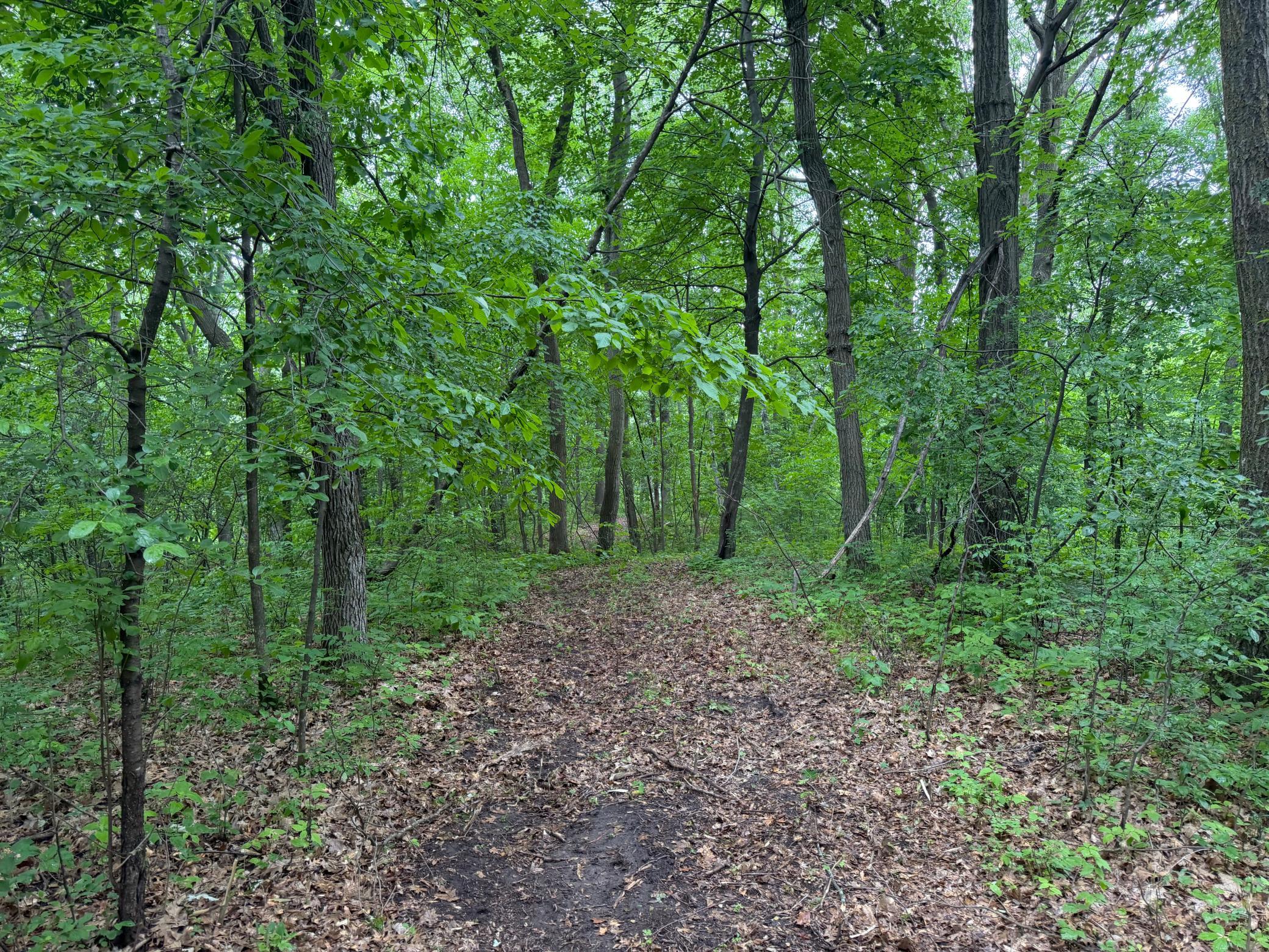 TBD 130th Street, Burtrum MN 56318 - Photo 33 of 62