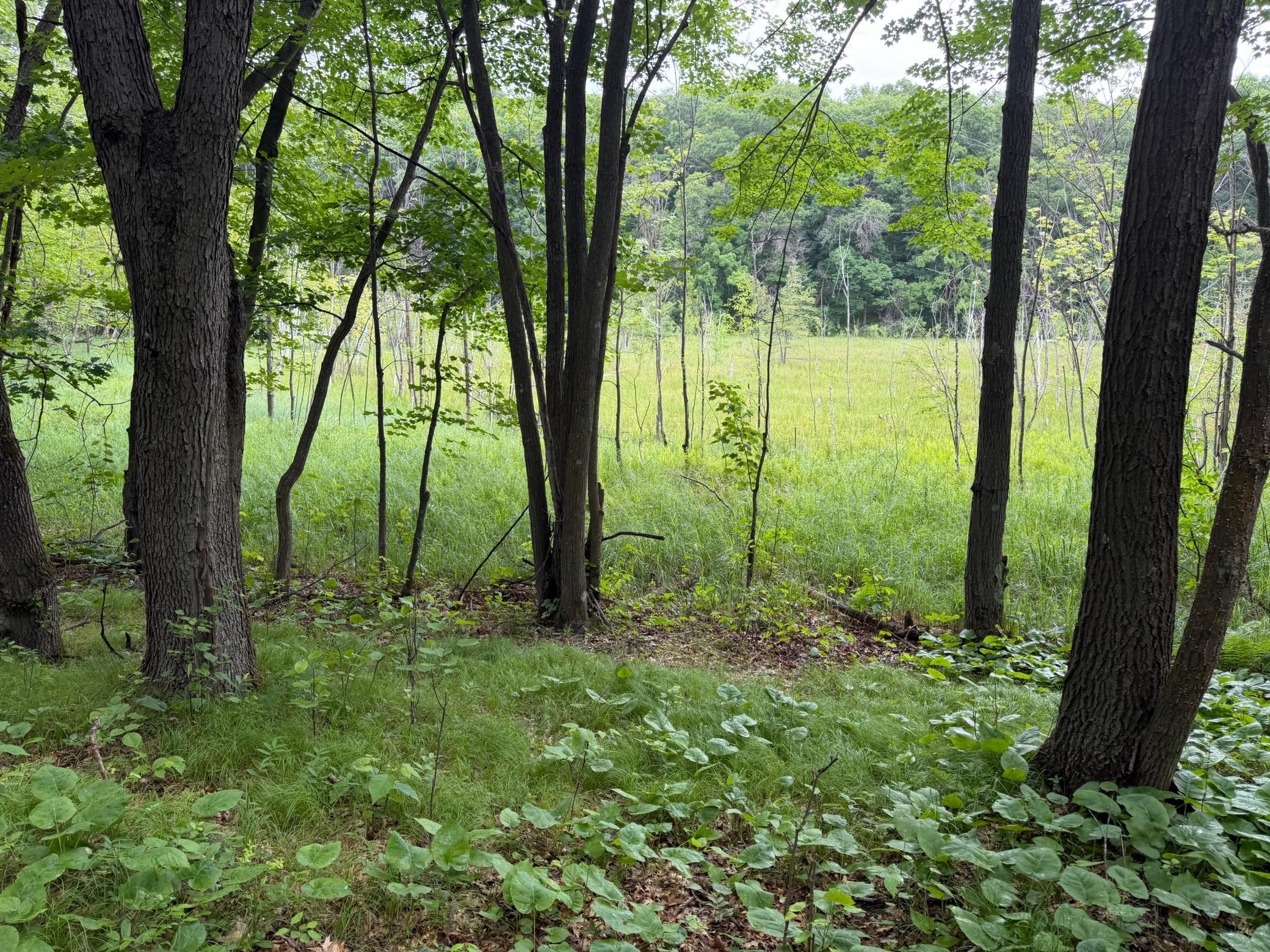 TBD 130th Street, Burtrum MN 56318 - Photo 42 of 62