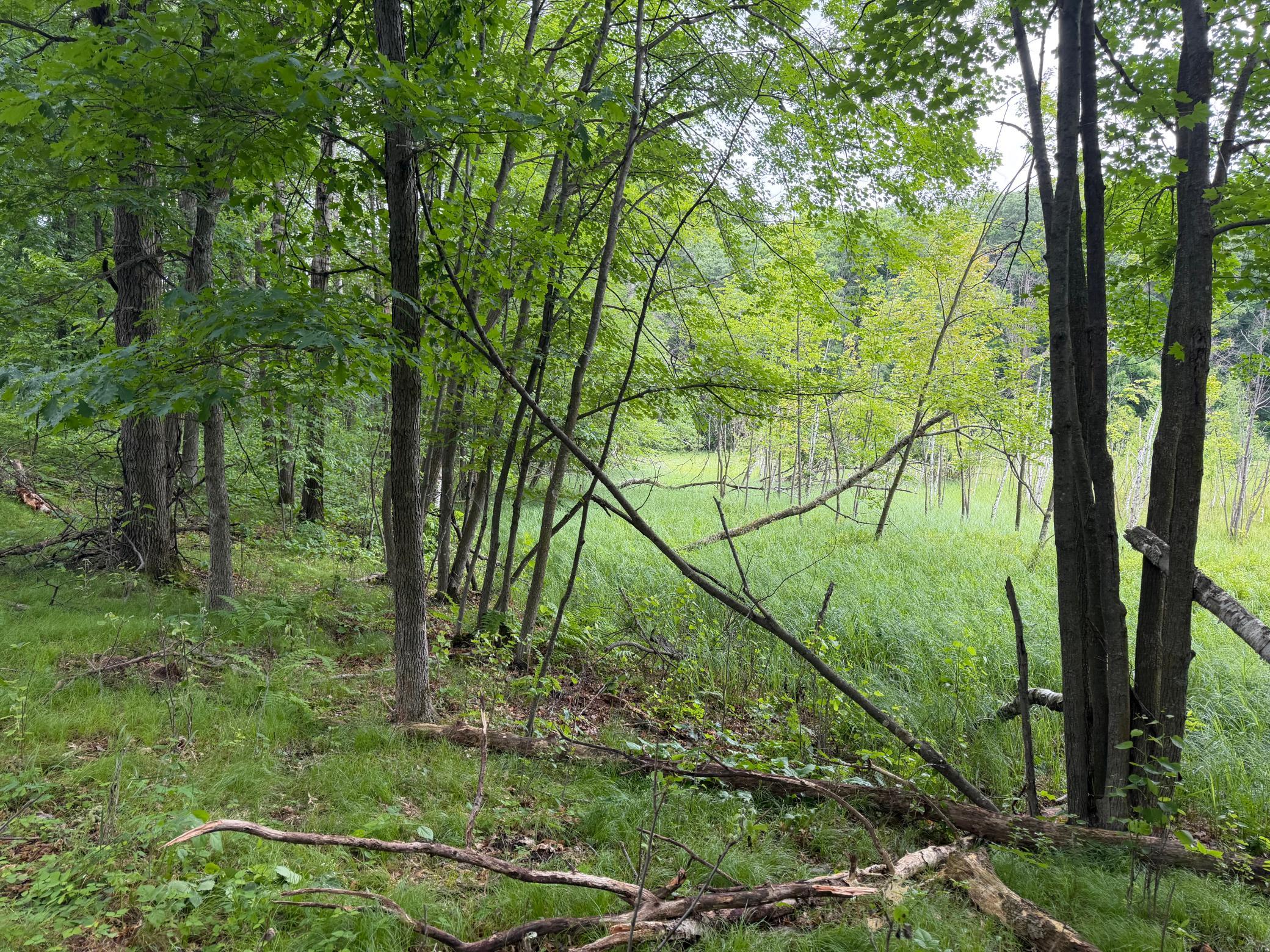 TBD 130th Street, Burtrum MN 56318 - Photo 43 of 62