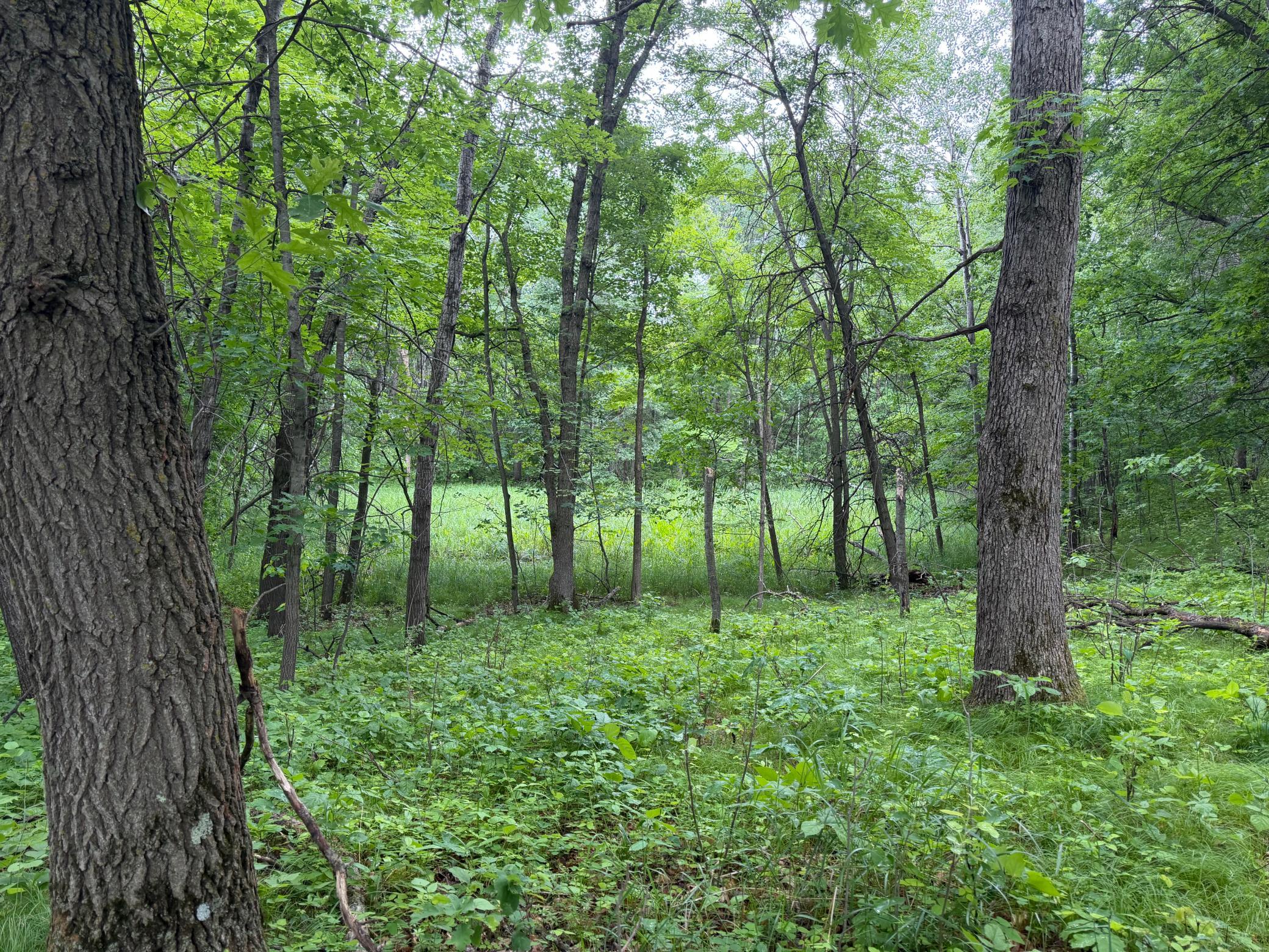 TBD 130th Street, Burtrum MN 56318 - Photo 44 of 62