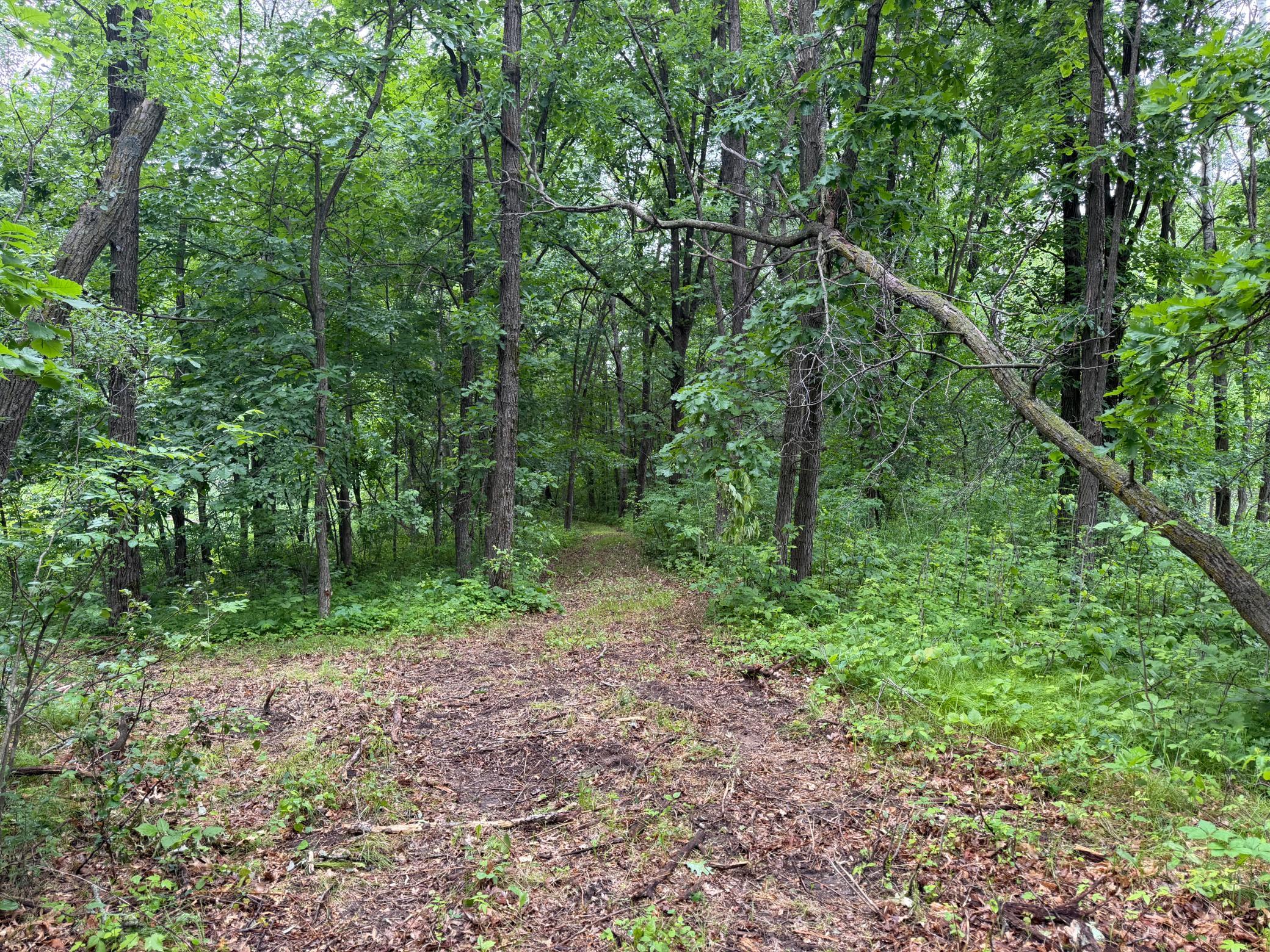 TBD 130th Street, Burtrum MN 56318 - Photo 45 of 62