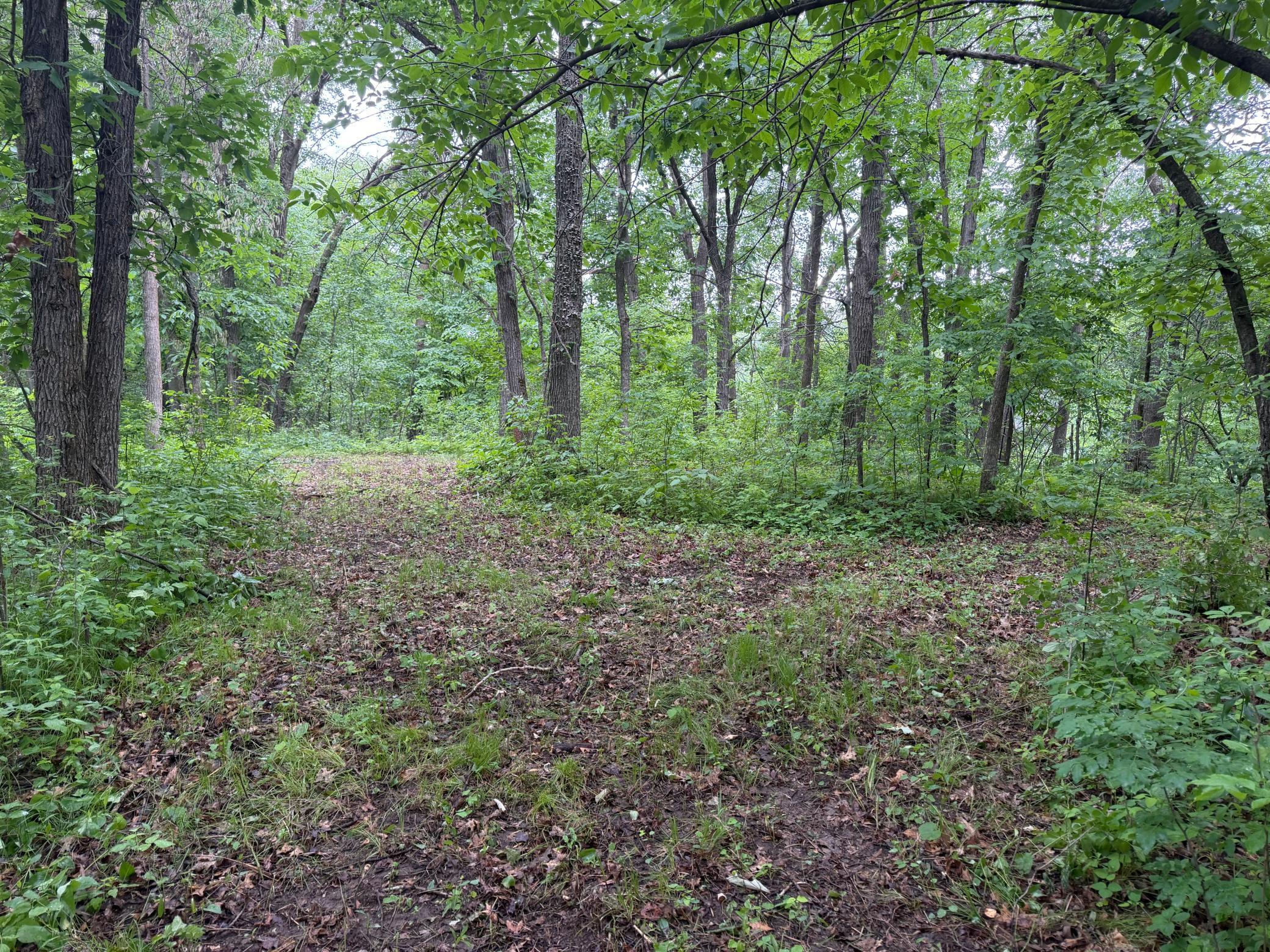 TBD 130th Street, Burtrum MN 56318 - Photo 46 of 62