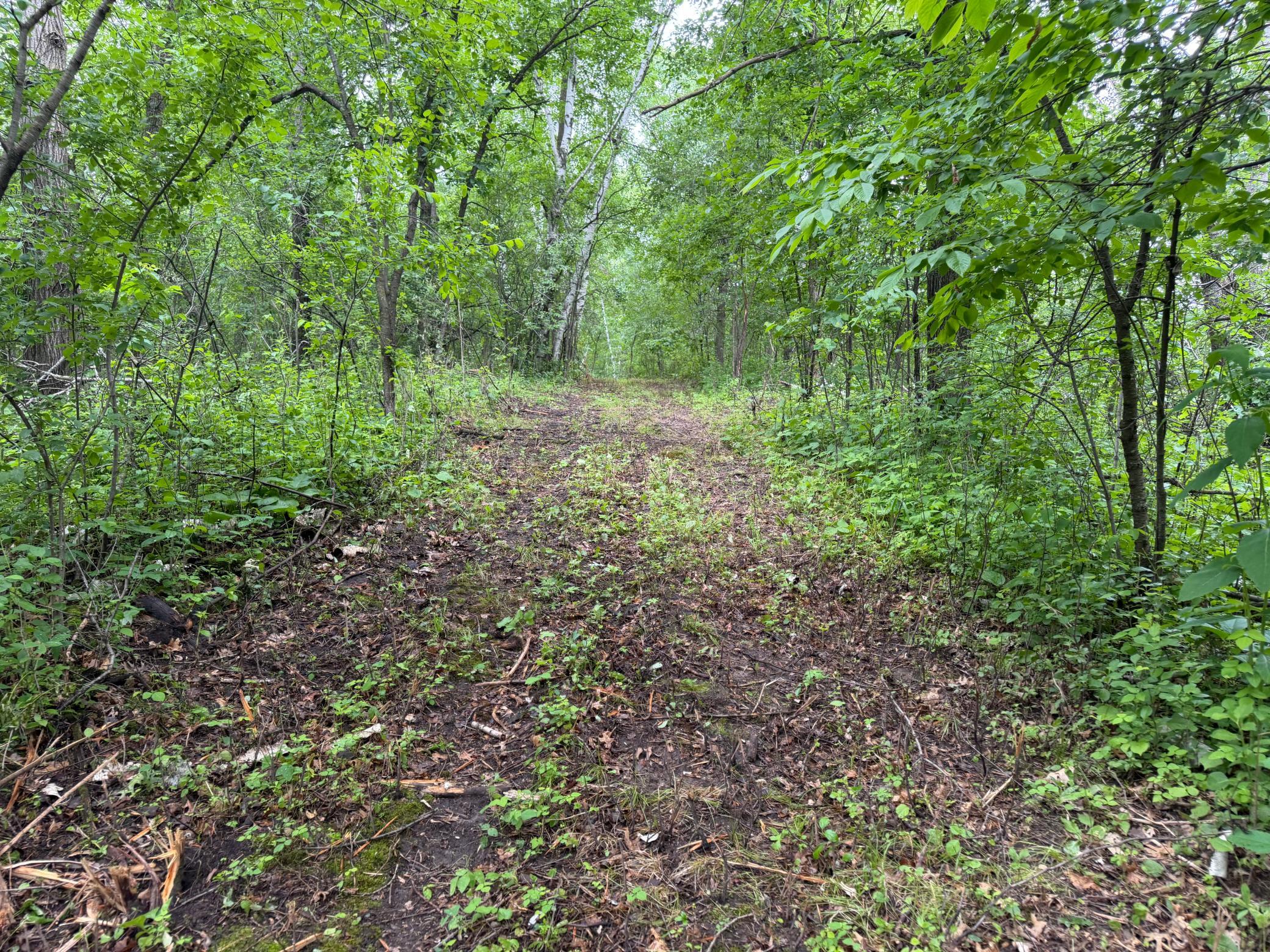 TBD 130th Street, Burtrum MN 56318 - Photo 51 of 62