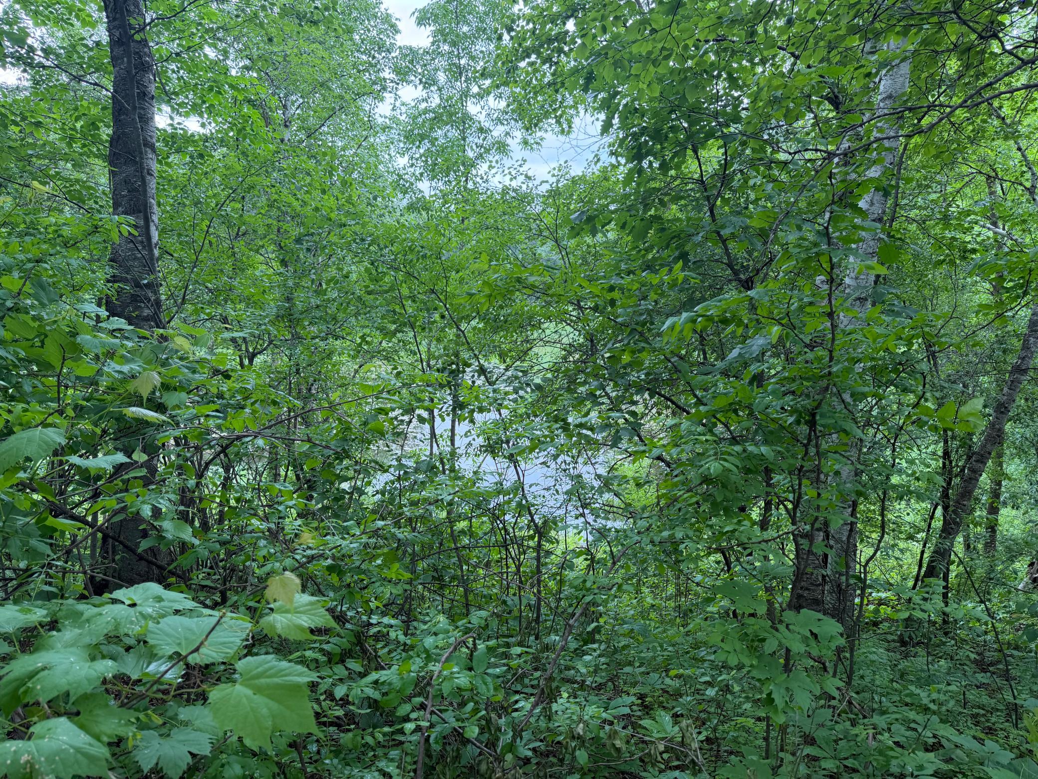 TBD 130th Street, Burtrum MN 56318 - Photo 52 of 62