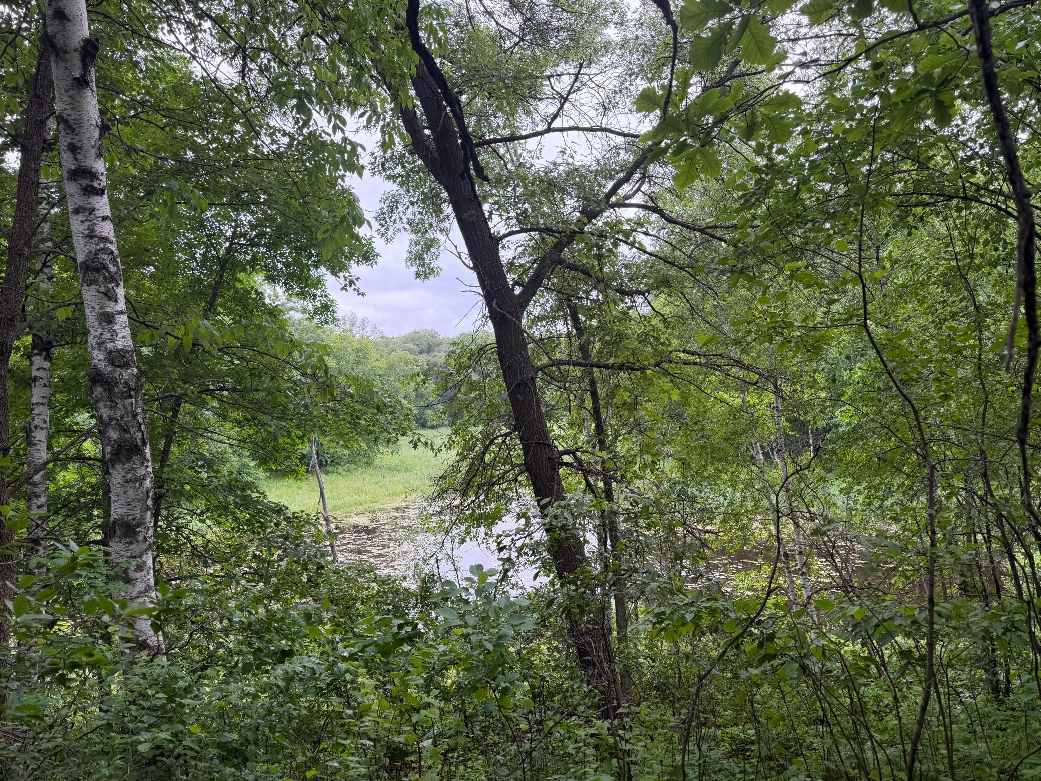 TBD 130th Street, Burtrum MN 56318 - Photo 53 of 62