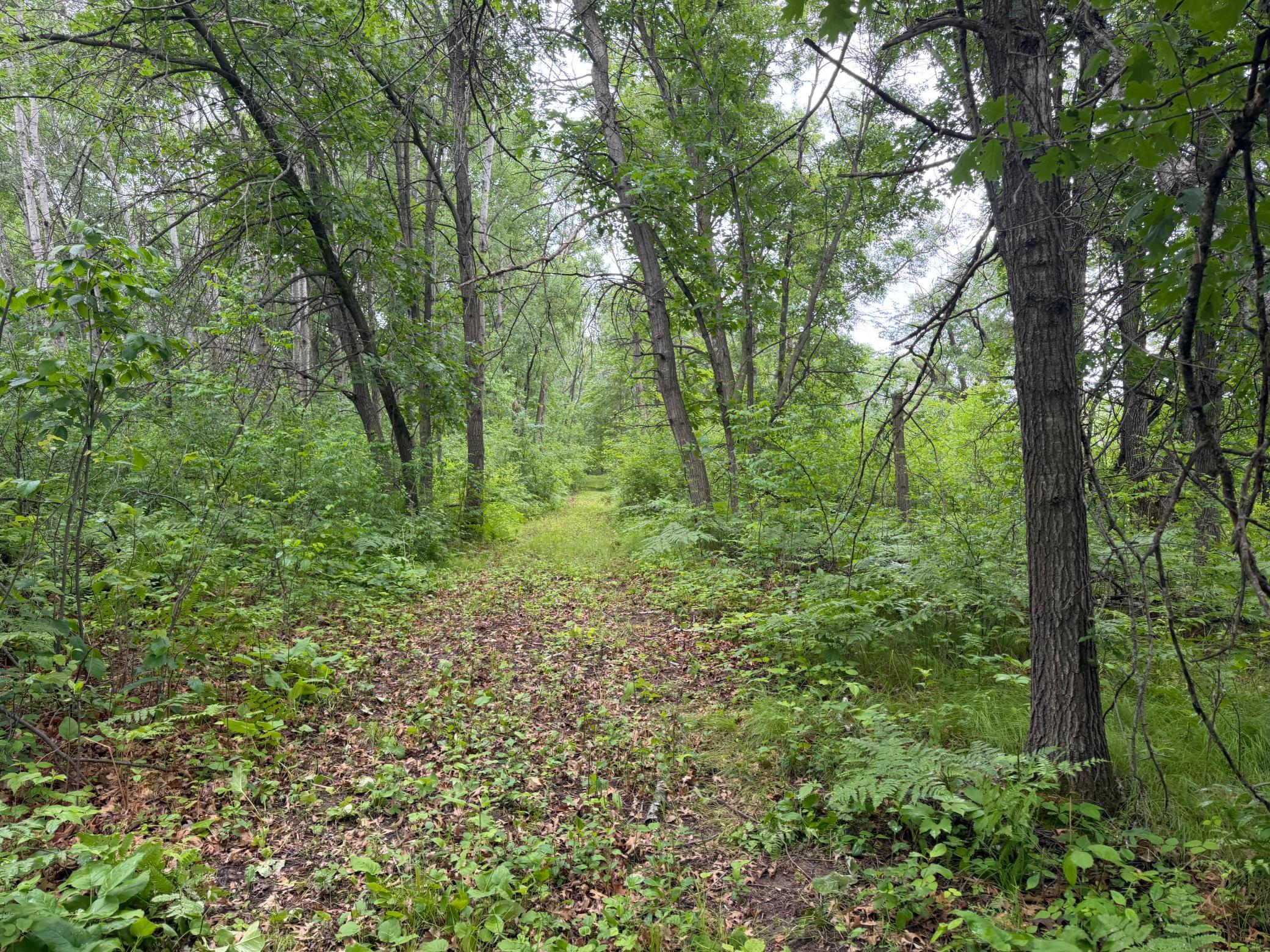 TBD 130th Street, Burtrum MN 56318 - Photo 55 of 62