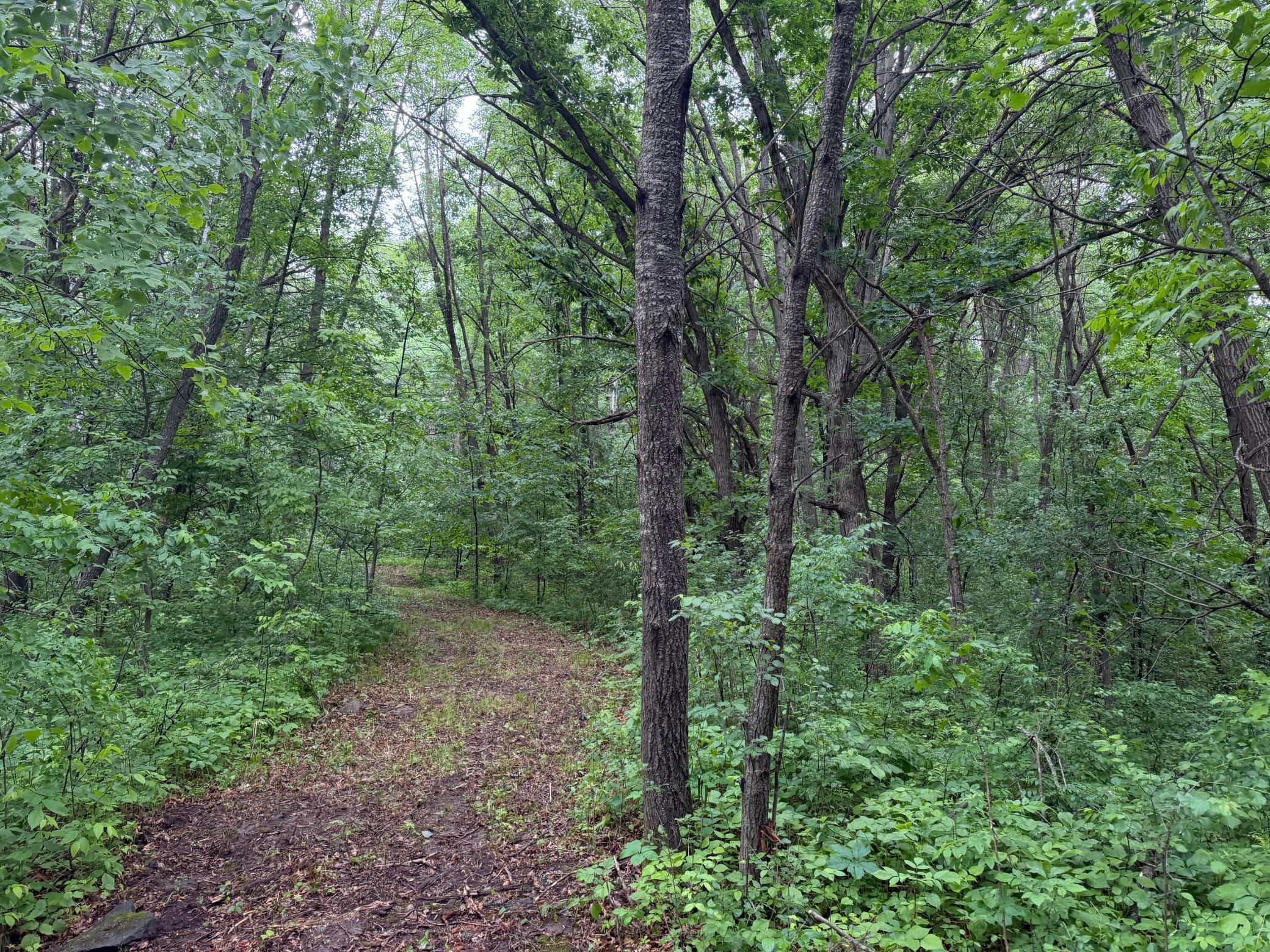 TBD 130th Street, Burtrum MN 56318 - Photo 58 of 62