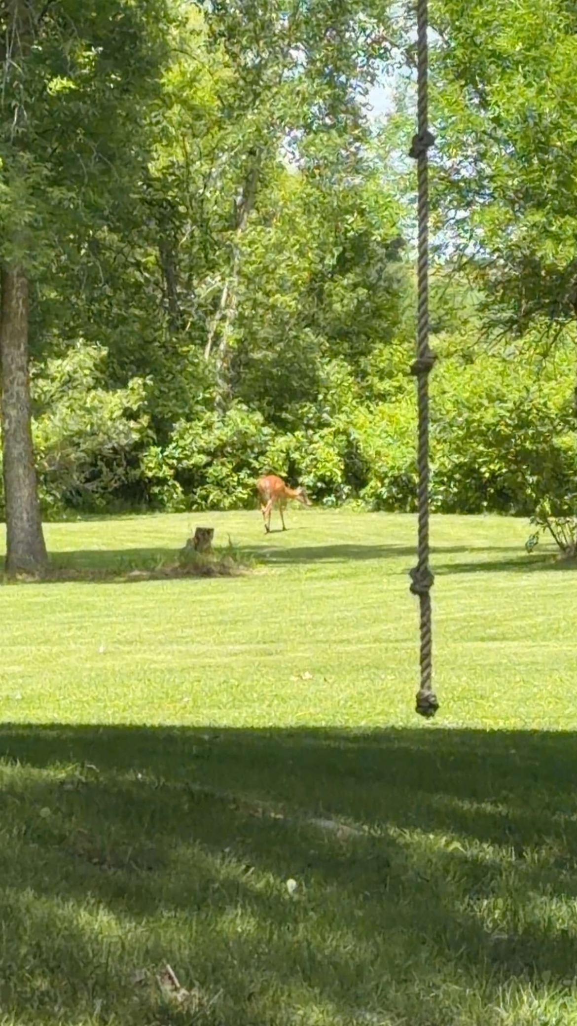 928 Reno Street, Hawley MN 56549 - Photo 28 of 44