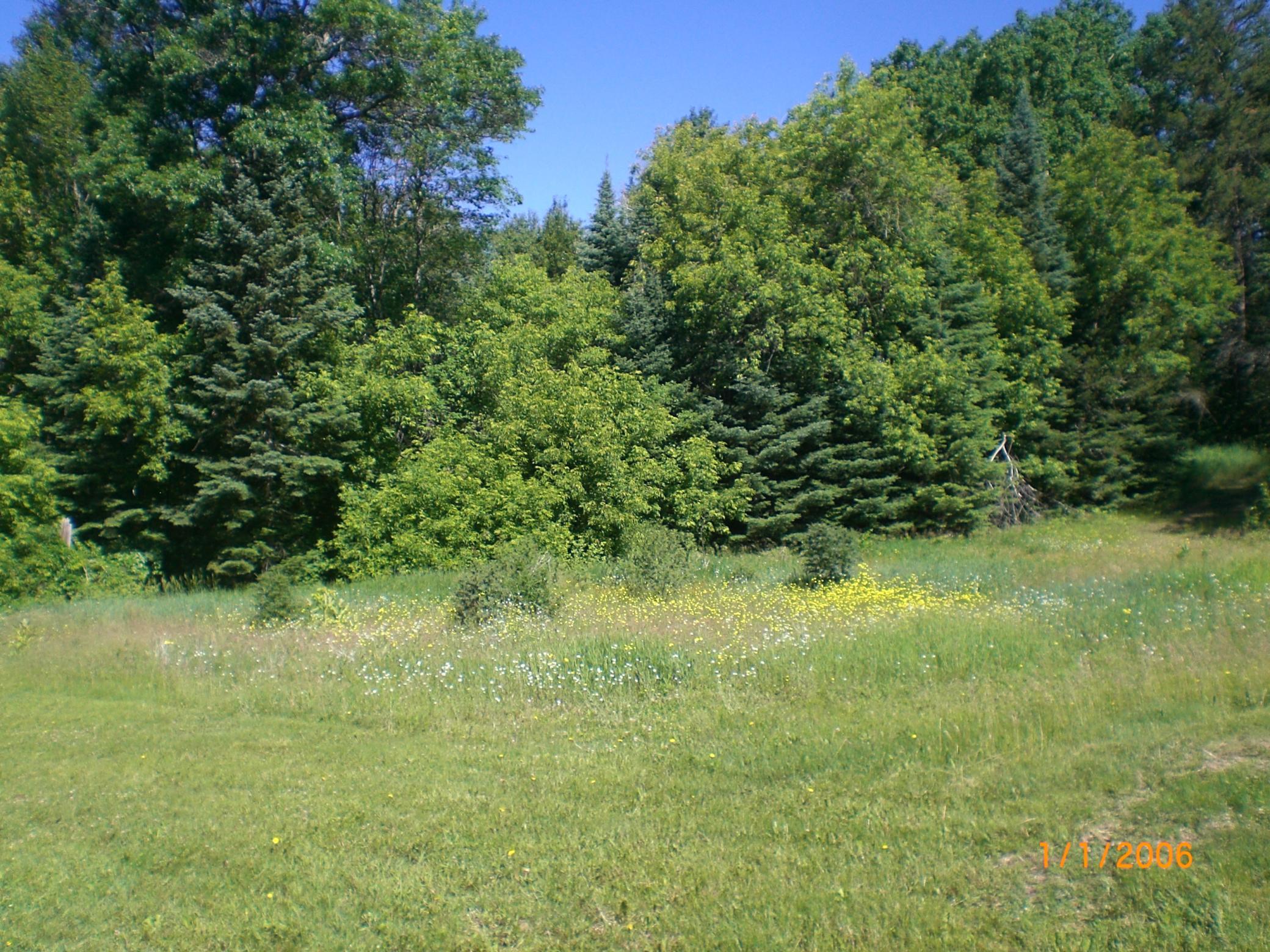 1902 single family home for sale at 8218 Ski Chalet Drive in Pequot Lakes, MN — 4 bed, 2 bath (photo 59 of 61)