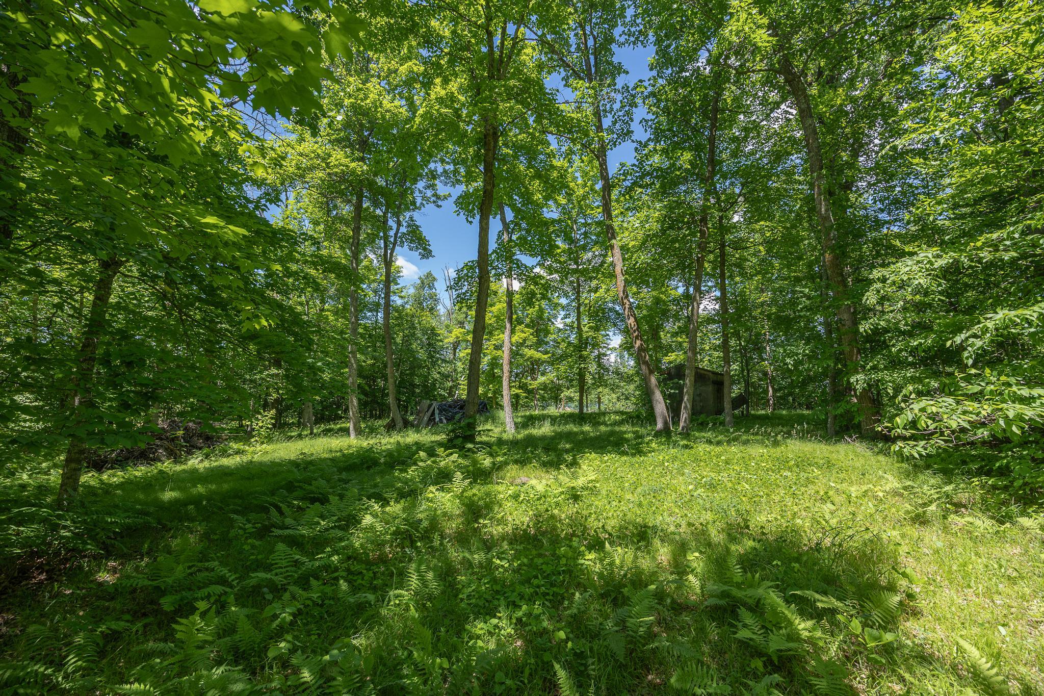 TBD State Hwy 84, Longville MN 56655 - Photo 11 of 16