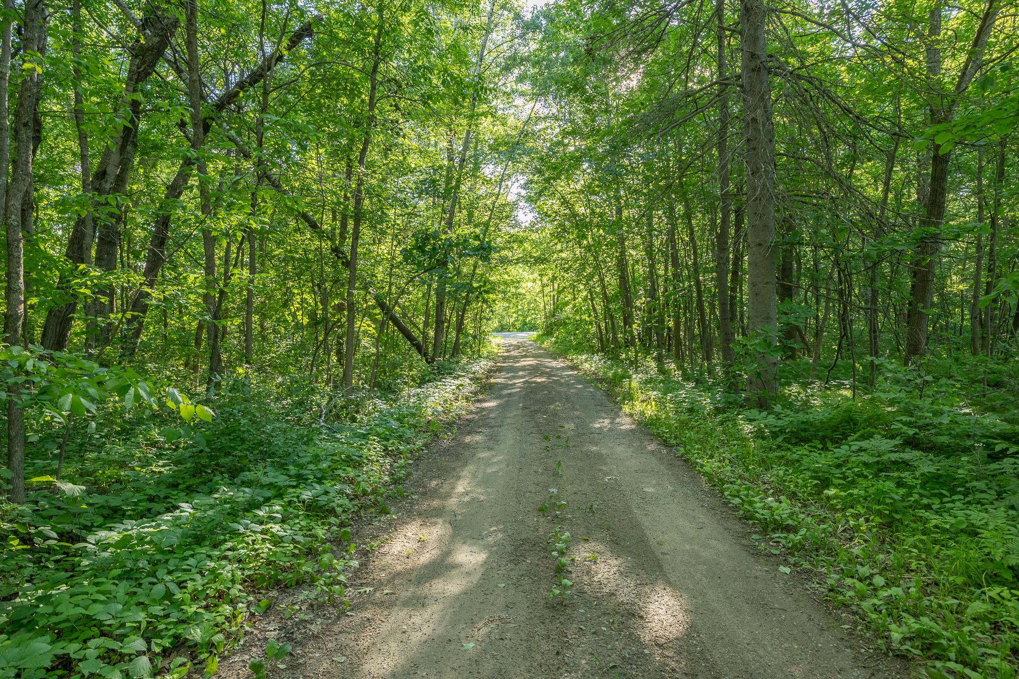 TBD State Hwy 84, Longville MN 56655 - Photo 5 of 16