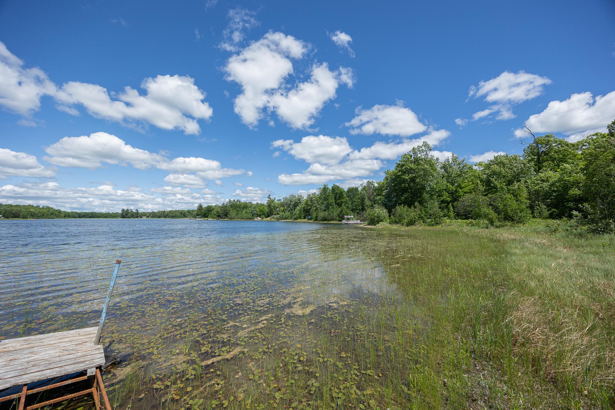 TBD State Hwy 84, Longville MN 56655 - Photo 6 of 16