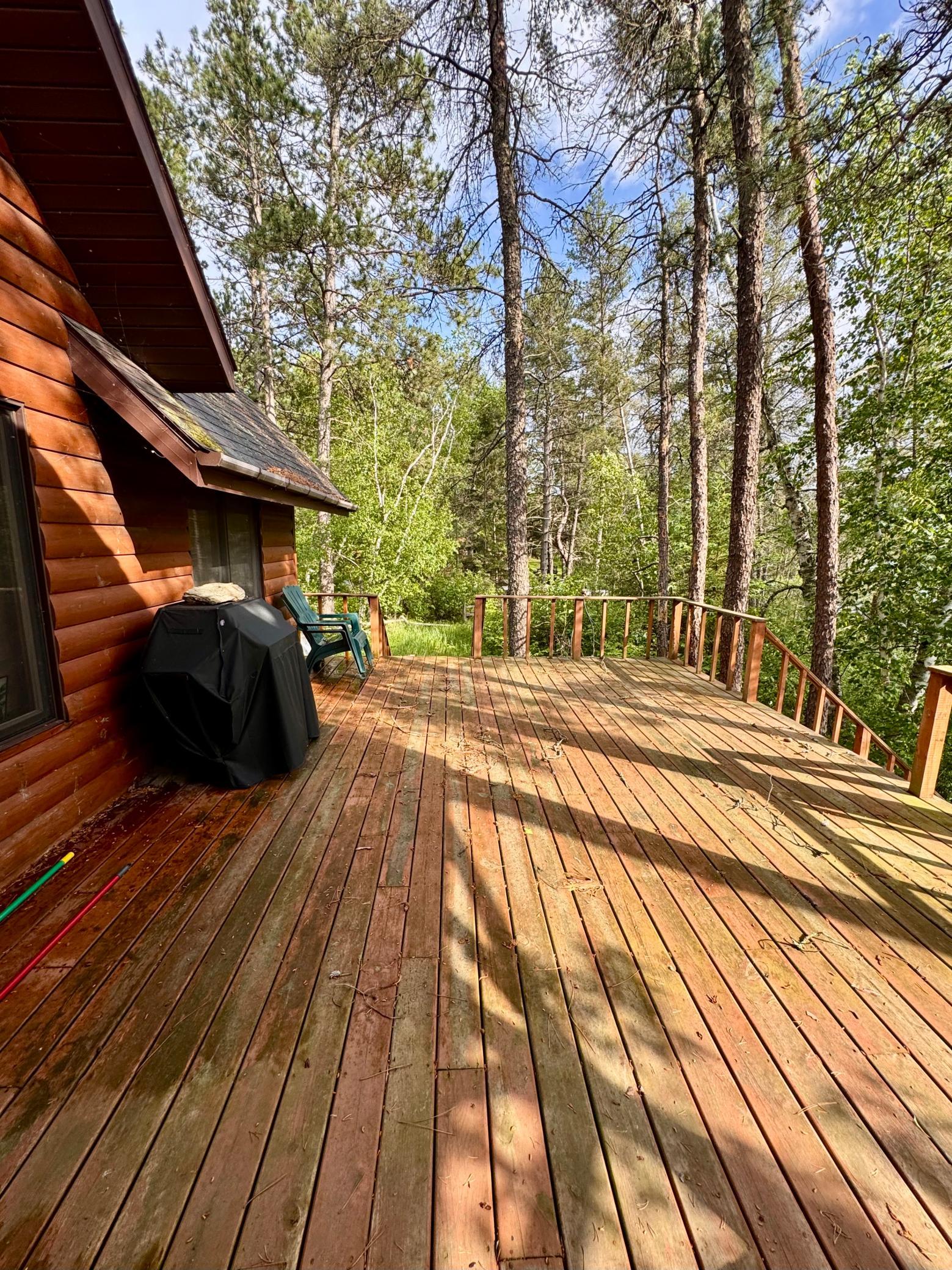 17619 Ivy Drive, Park Rapids MN 56470 - Photo 4 of 39
