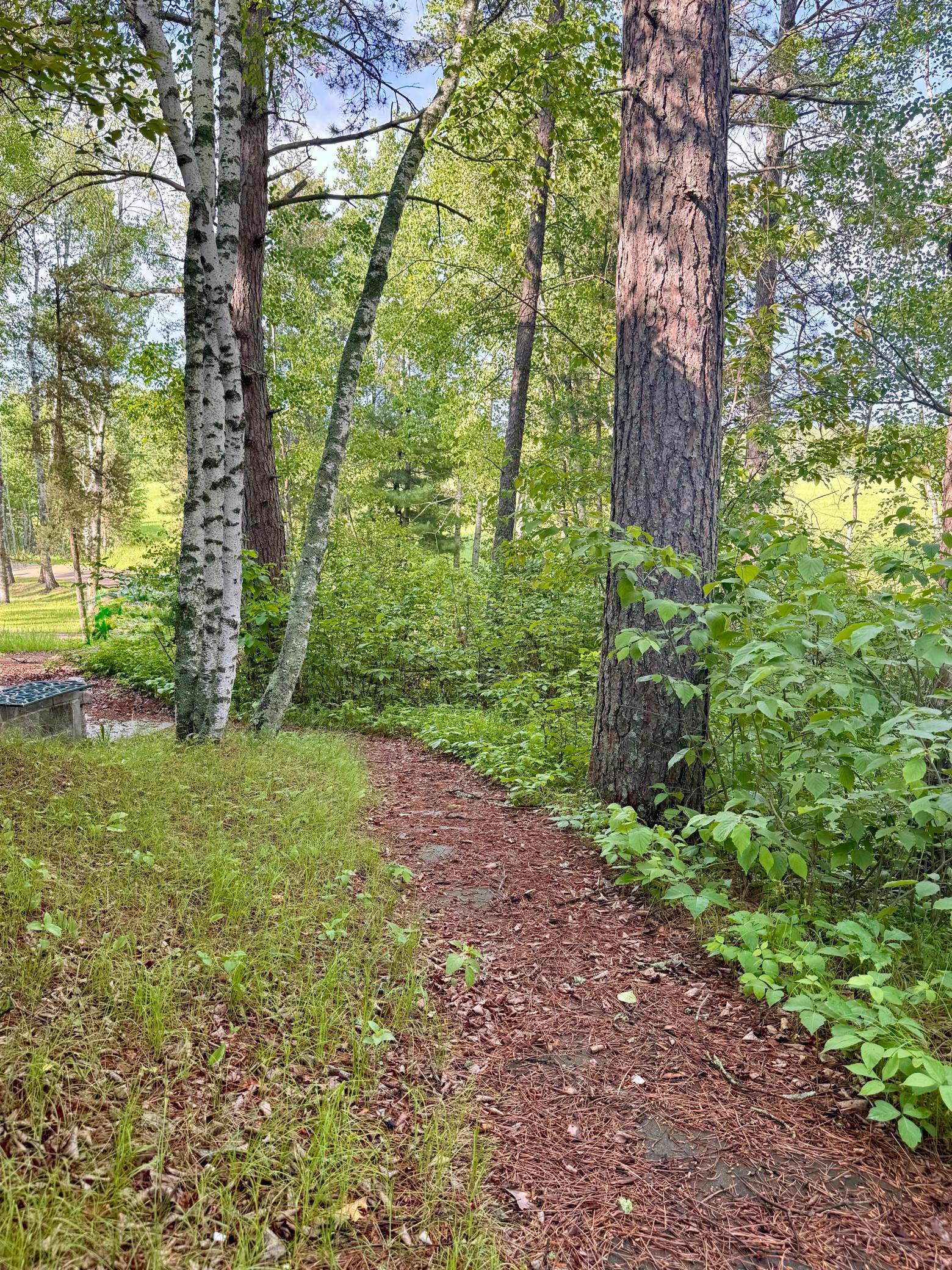 17619 Ivy Drive, Park Rapids MN 56470 - Photo 35 of 39