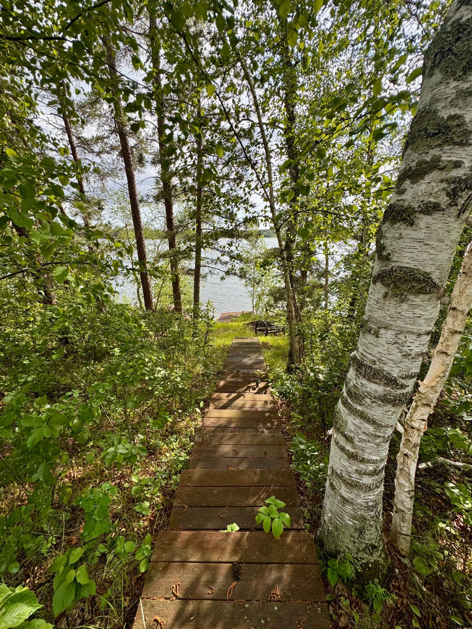 17619 Ivy Drive, Park Rapids MN 56470 - Photo 8 of 39