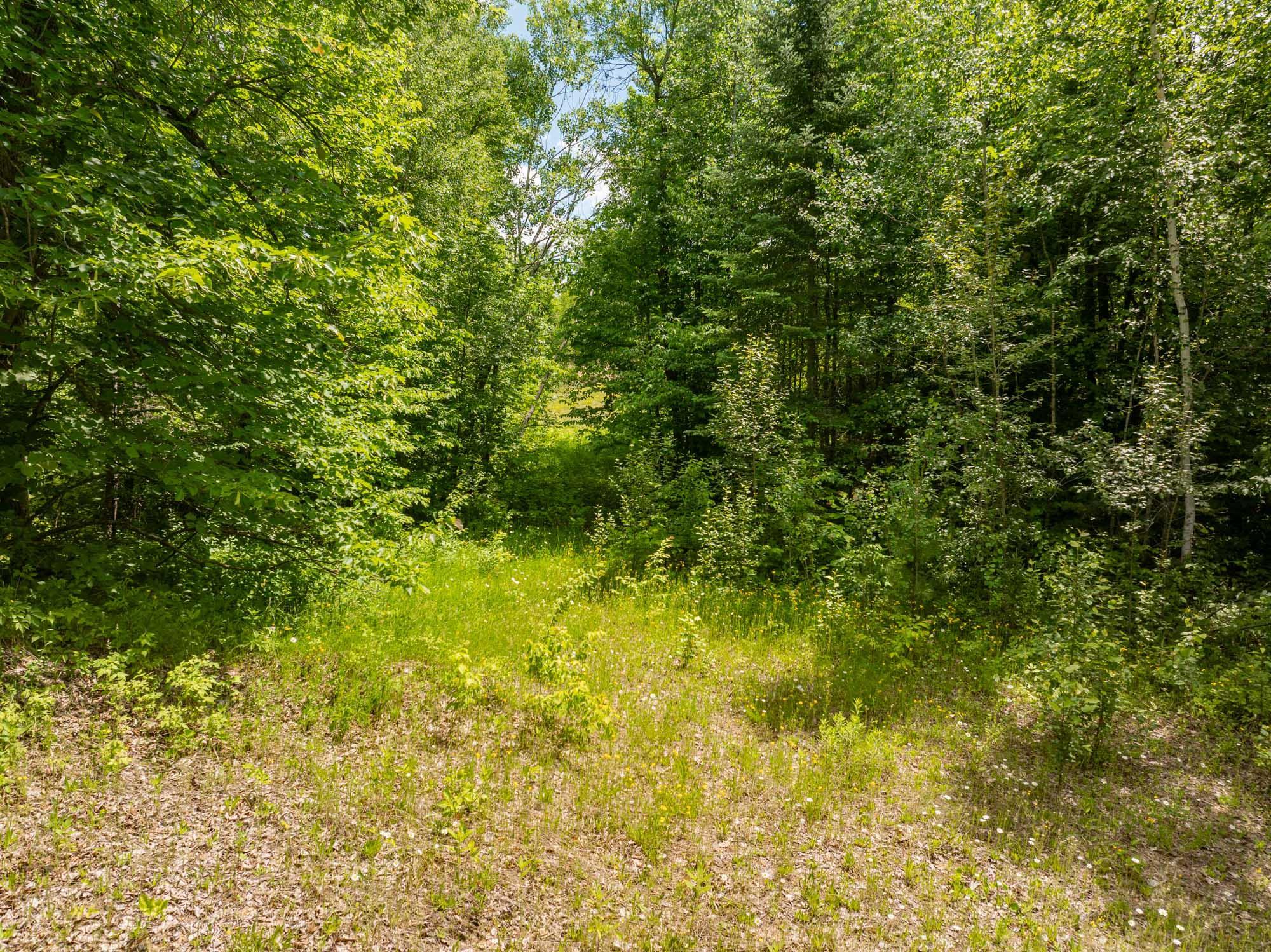 Lot B County Rd 238, Deer River MN 56636 - Photo 7 of 11