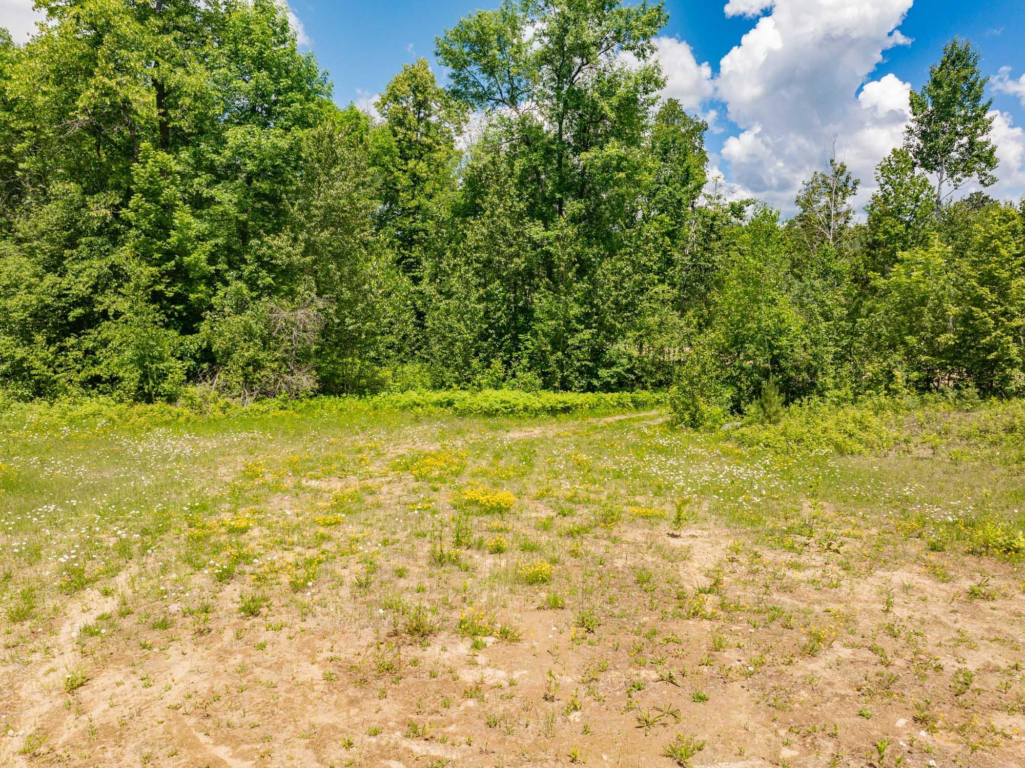 Lot A County Rd 238, Deer River MN 56636 - Photo 4 of 9